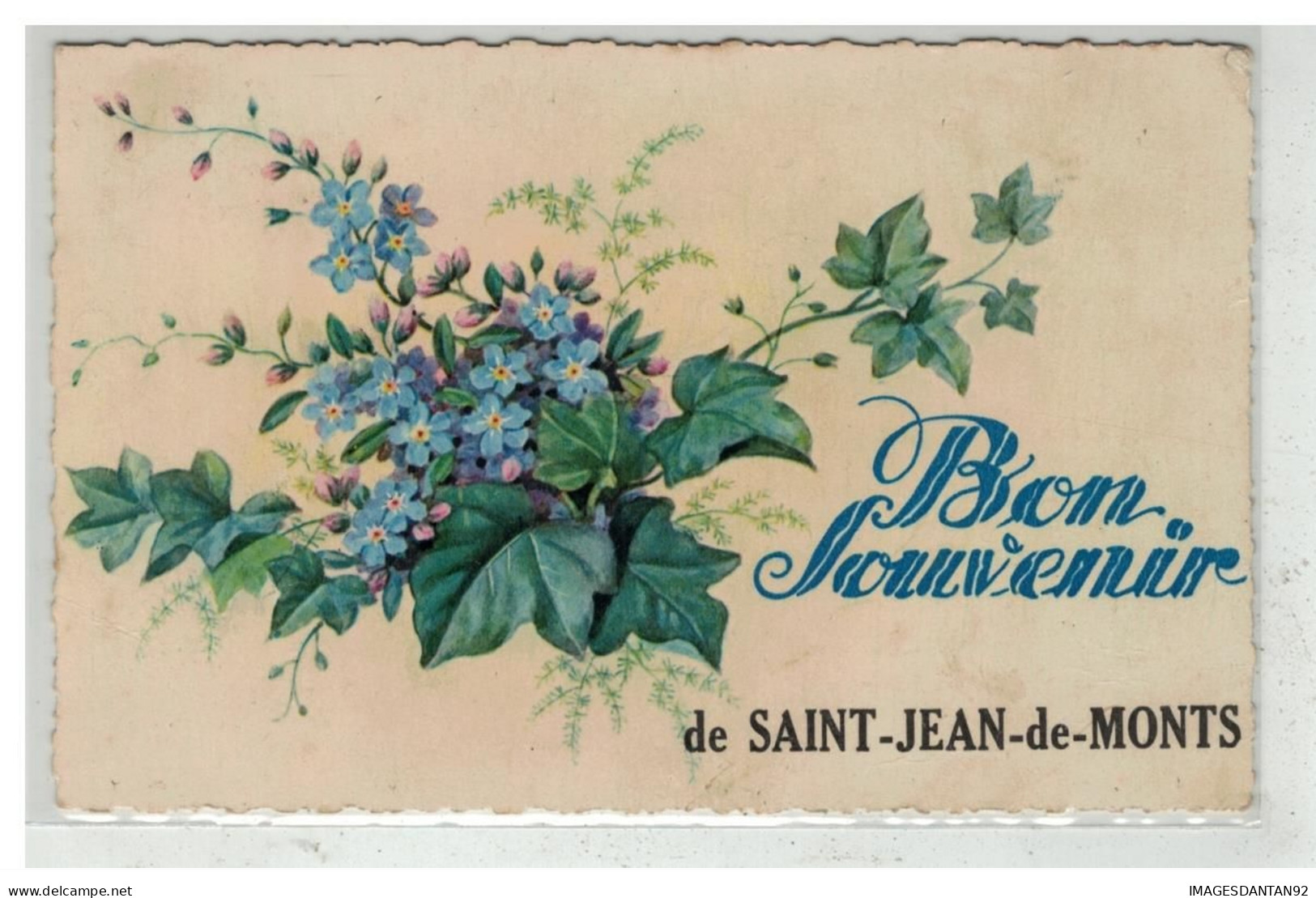 85 SAINT JEAN DES MONTS #15972 BON SOUVENIR FLEURS MYOSOTIS FANTAISIE - Saint Jean De Monts