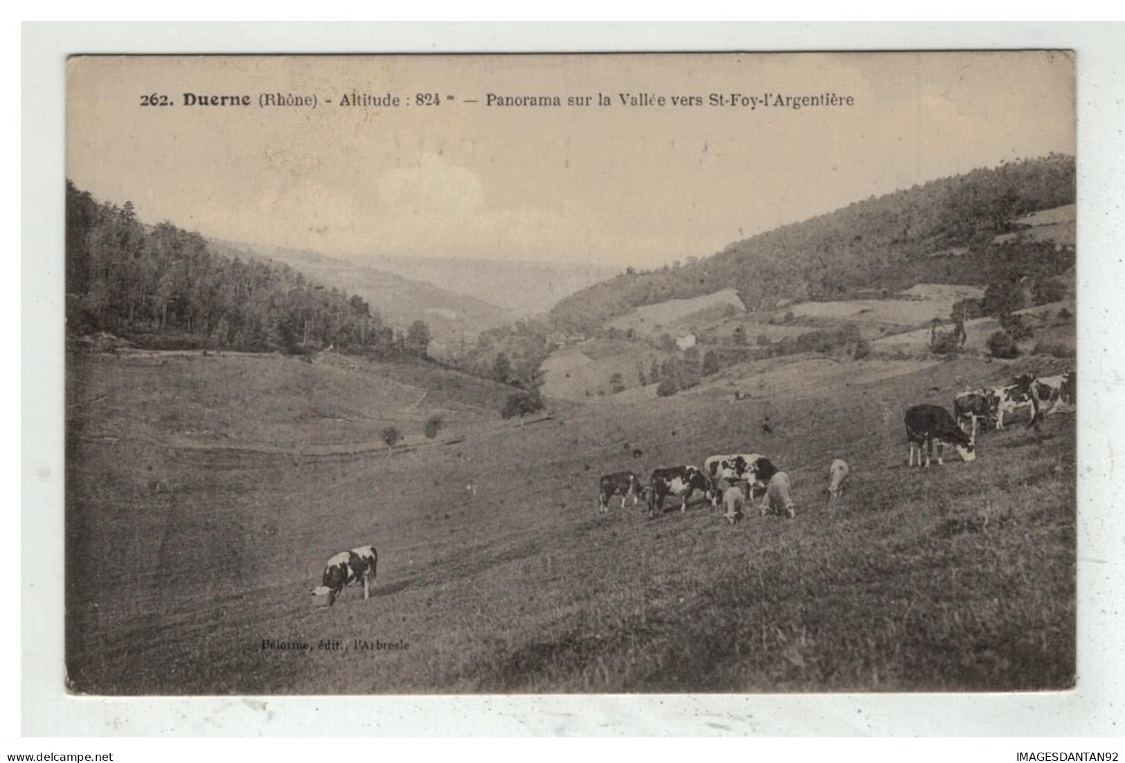 69 DUERNE #12096 PANORAMA SUR LA VALLEE VERS SAINT FOY L ARGENTIERE NÂ°262 VACHES EN PATURAGE - Sonstige & Ohne Zuordnung