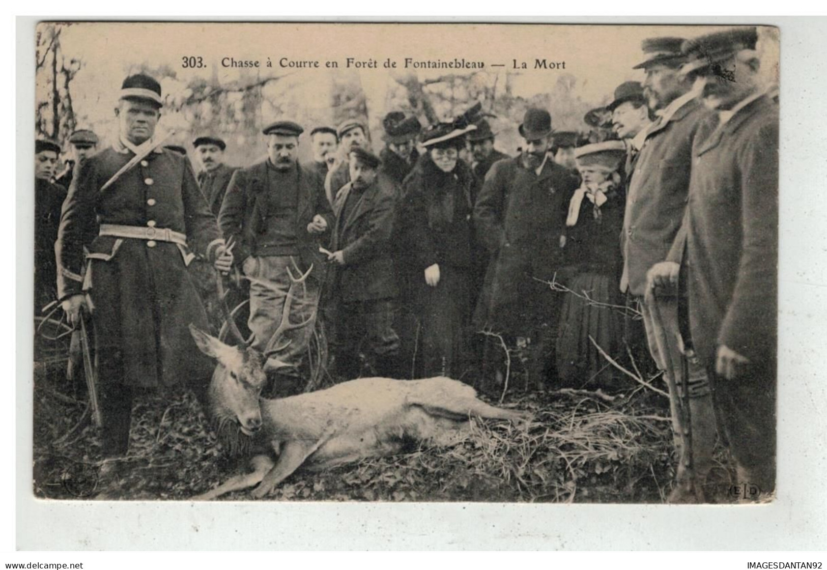 77 FONTAINEBLEAU #19479 CHASSE A COURRE LA MORT - Fontainebleau