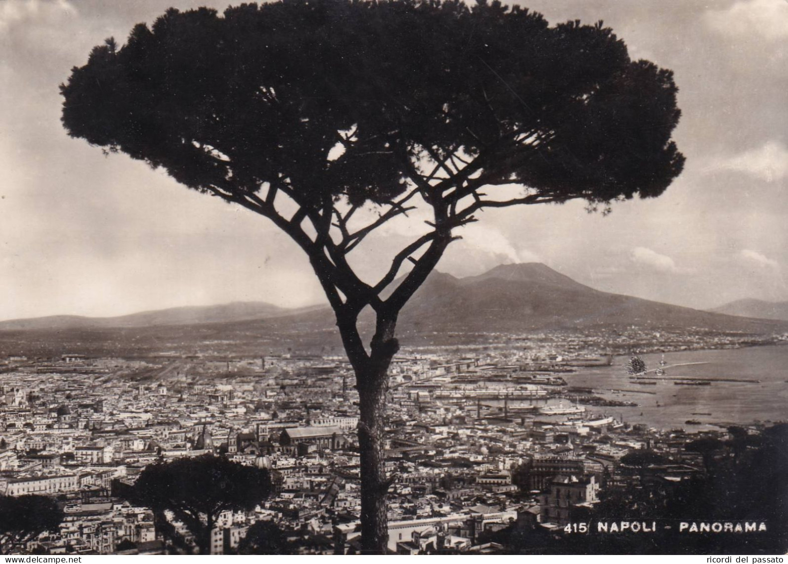 Cartolina Napoli - Panorama - Napoli (Neapel)