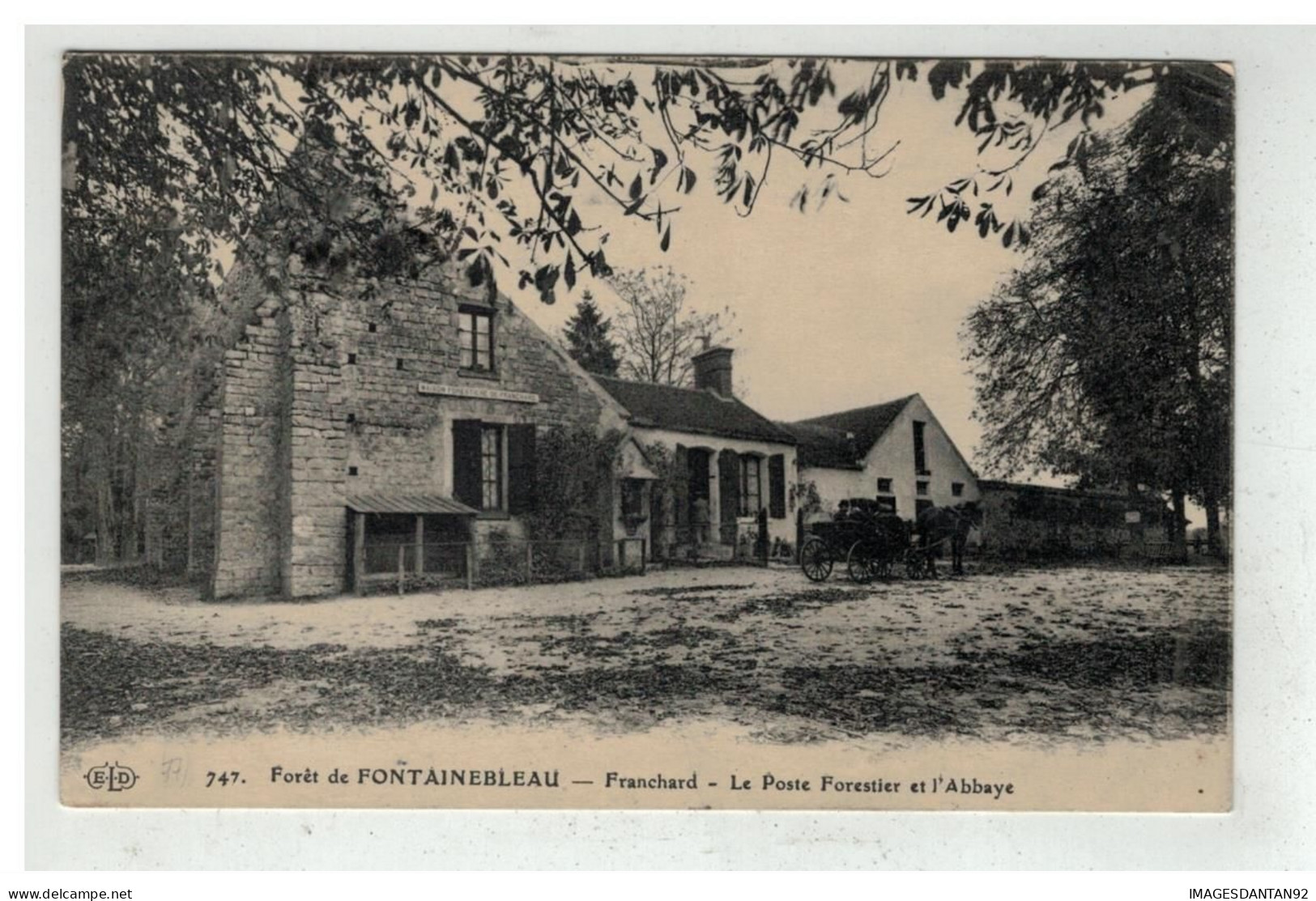 77 FONTAINEBLEAU #19484 FRANCHARD LA POSTE FORESTIER ET L ABBAYE - Fontainebleau