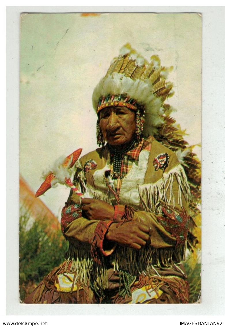 INDIEN INDIAN #18076 OLD INDIAN CHIEF - Indios De América Del Norte