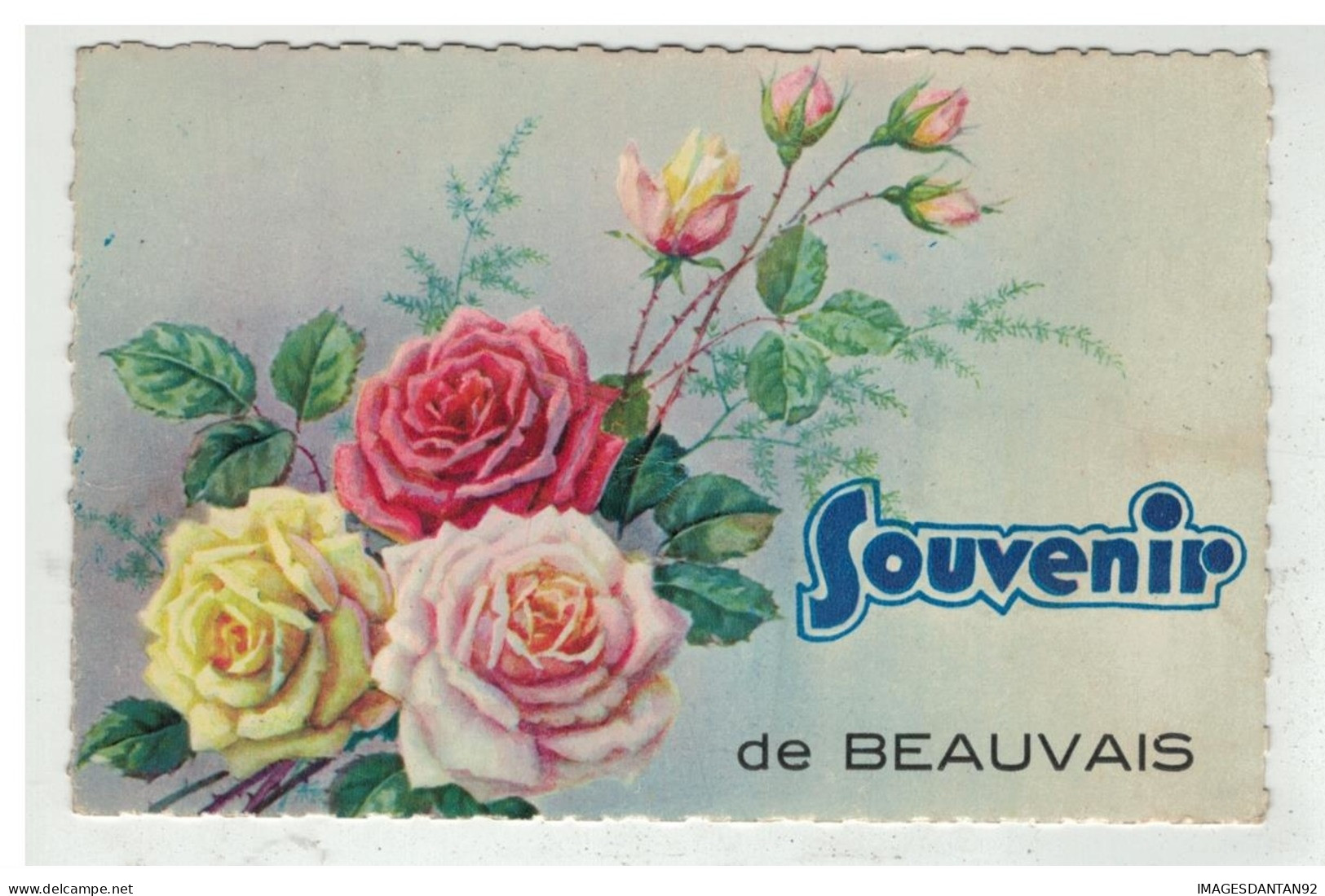 60 BEAUVAIS #10385 SOUVENIR DE ... FLEURS ROSES - Beauvais