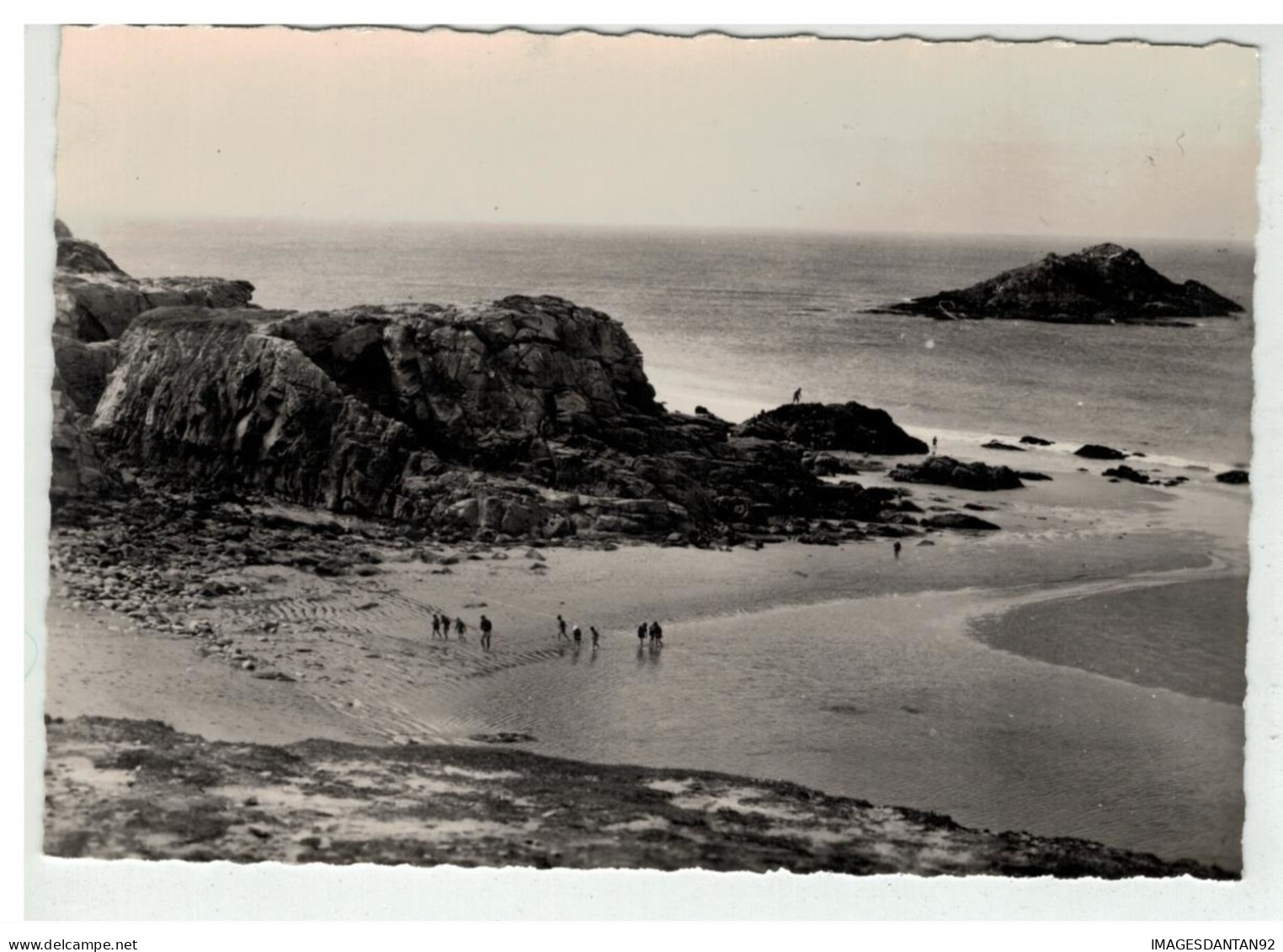 56 QUIBERON LA COTE SAUVAGE ROCHER DE LA TRUIE NÂ°3768 - Quiberon