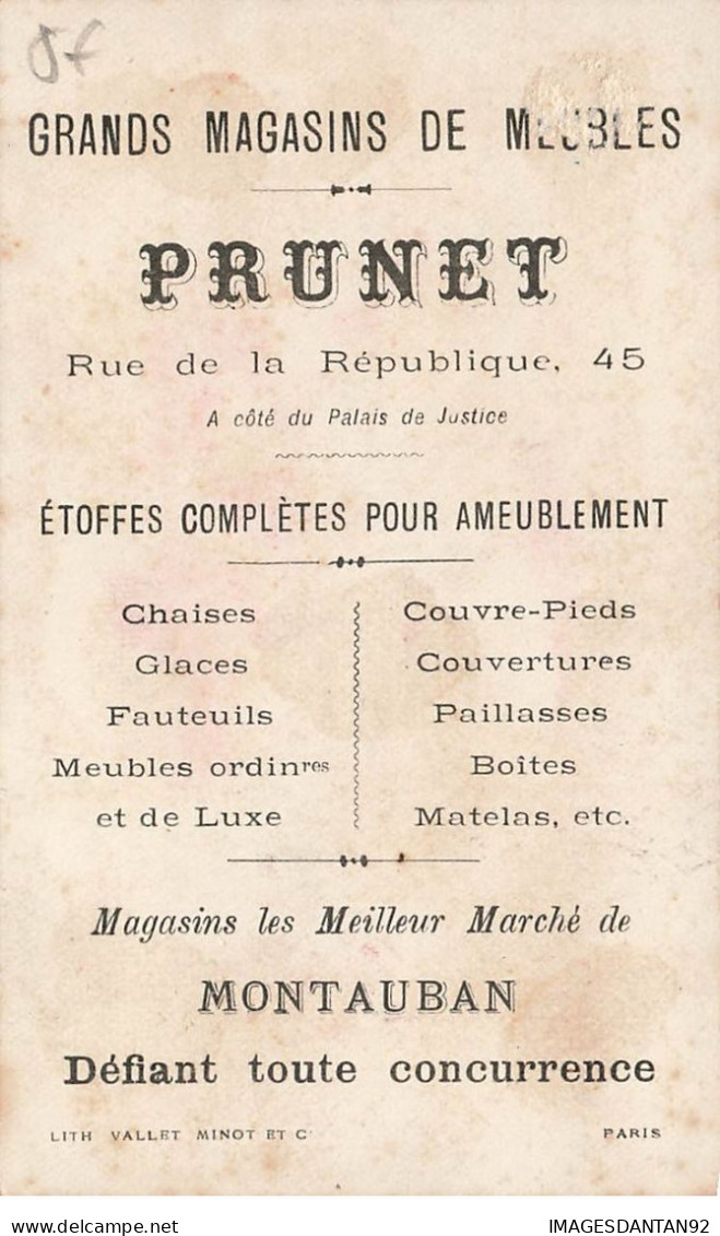 GRANDS MAGASINS MEUBLES PRUNET MONTAUBAN LES LIONS DE MER ZOO - Andere & Zonder Classificatie