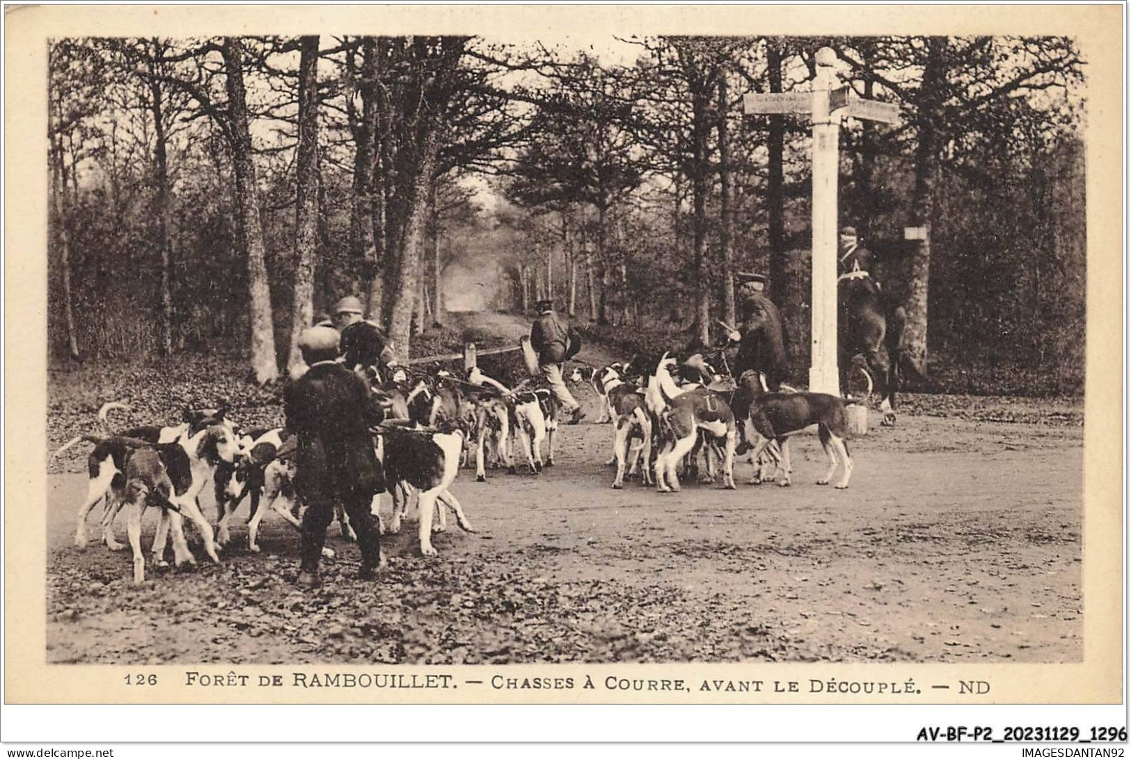 AV-BFP2-0835 - CHASSE - Forêt De Rambouillet - Chasses à Courre, Avant Le Découplé - Meute - Chasse