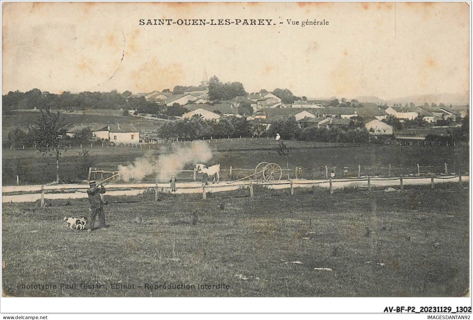 AV-BFP2-0838 - CHASSE - Saint-Ouen-Les-Parey - Vue Générale - Homme Tirant - Caza