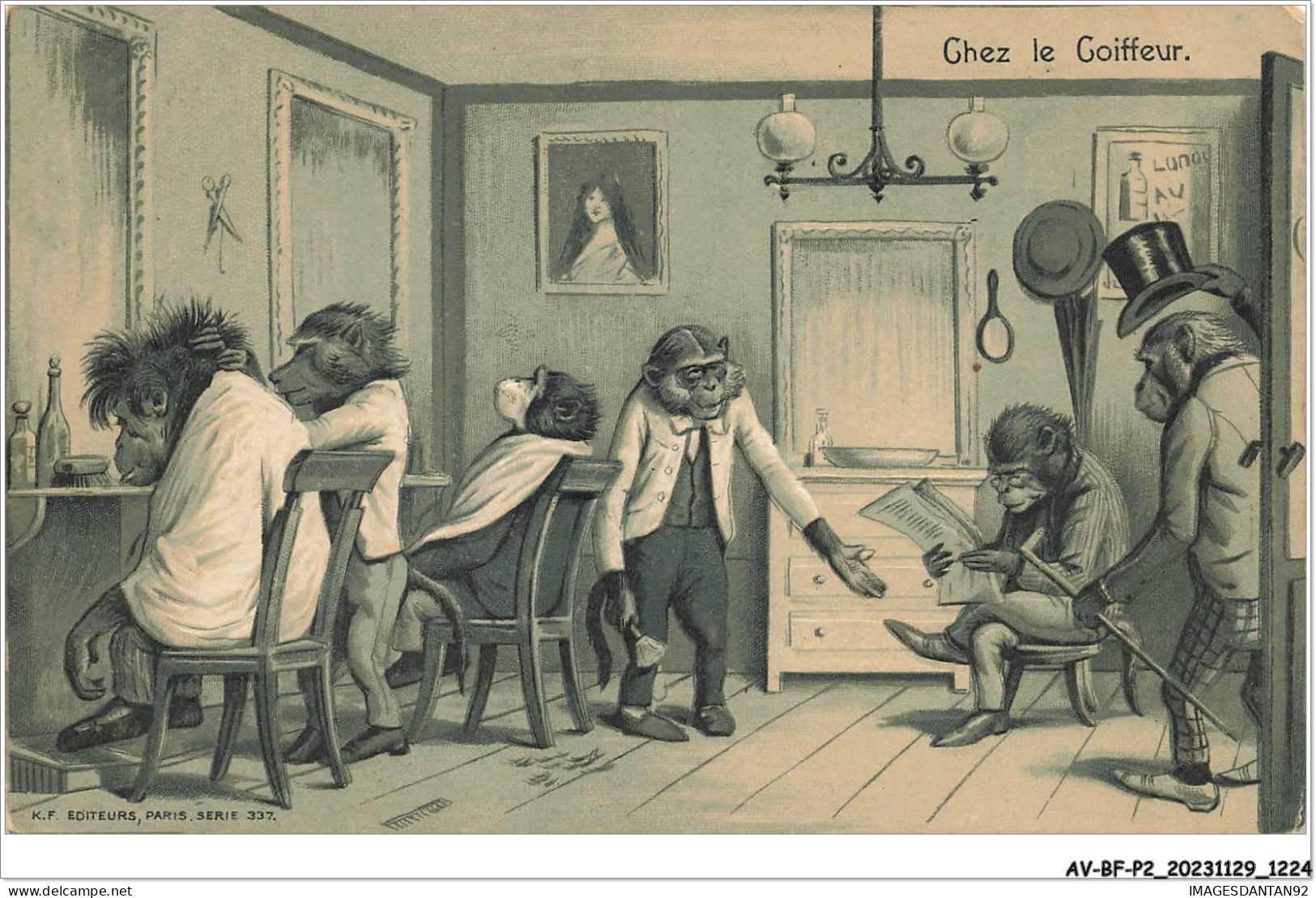 AV-BFP2-0799 - ANIMAUX - Singes Humanisés - Chez Le Coiffeur - Carte Gaufrée - Monkeys