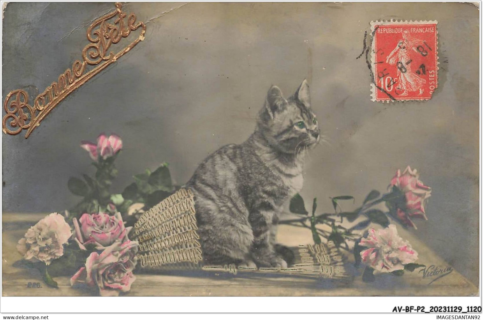 AV-BFP2-0747 - ANIMAUX - Chat - Bonne Fête - Chat Près De Roses - Chats