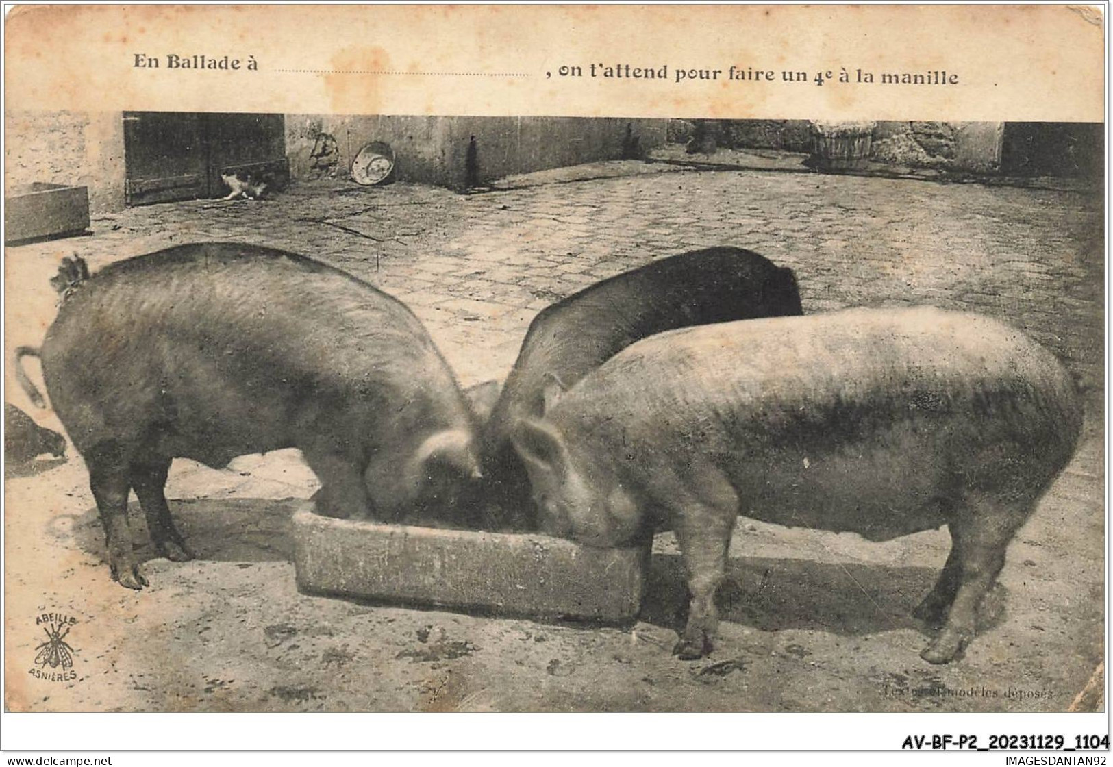 AV-BFP2-0739 - ANIMAUX - Cochons  - En Ballade à Â On T'attendÂ - Pigs