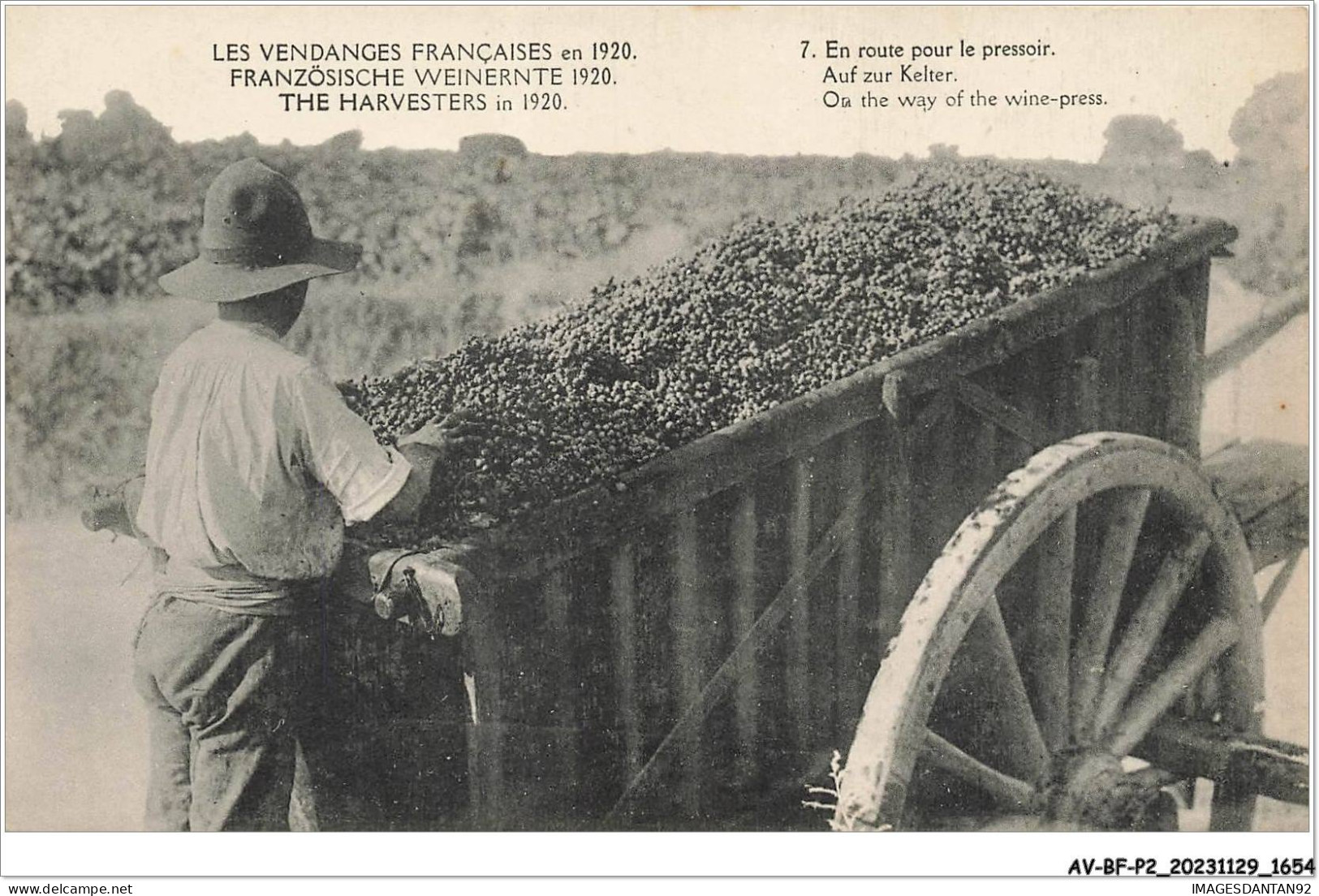 AV-BFP2-1014 - VIGNES - Les Vendanges Françaises En 1920 - En Route Pour Le Pressoir - Métier - Viñedos