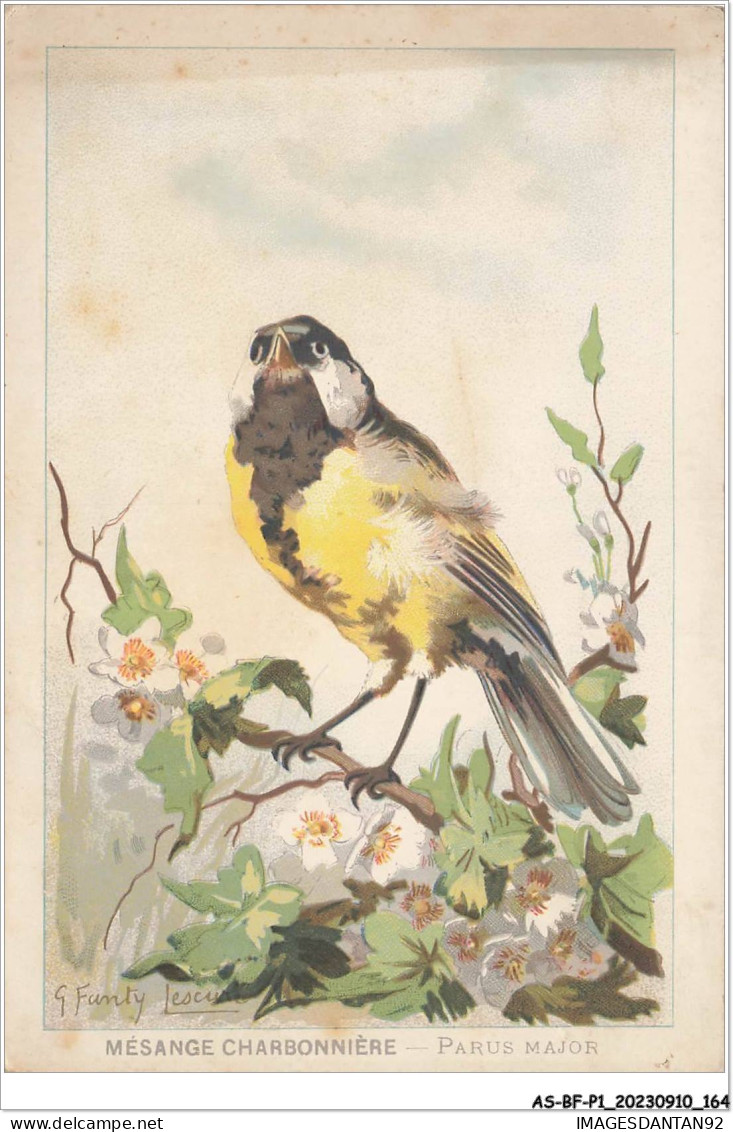 AS#BFP1-0083 - Animaux - Oiseaux - Mésange Charbonnière - Parus Major - Oiseaux