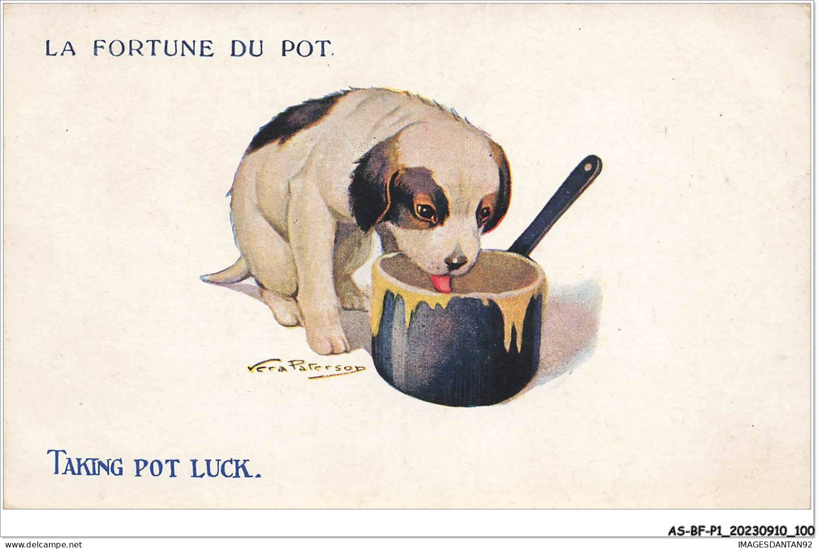 AS#BFP1-0051 - Animaux - Chien - La Fortune Du Pot - Hunde