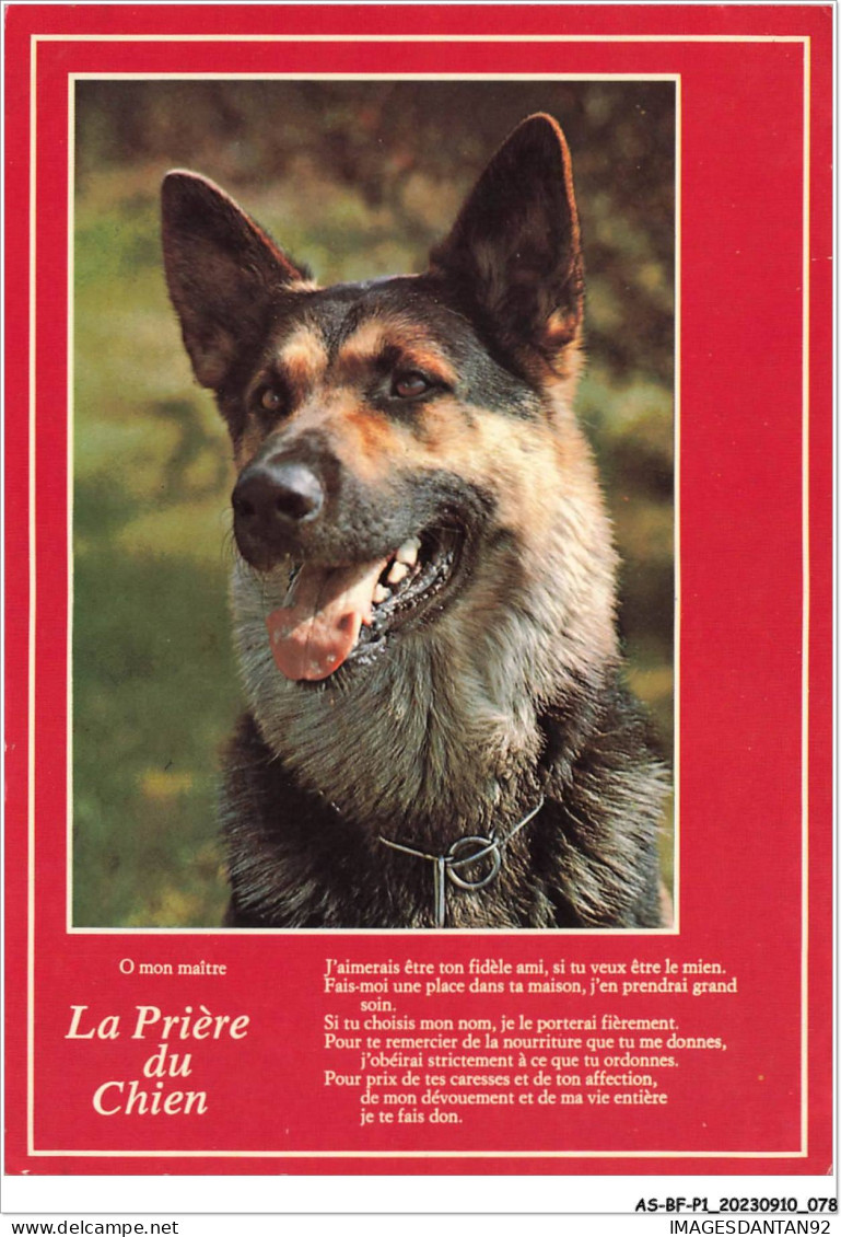 AS#BFP1-0040 - Animaux - Chien - La Prière Du Chien - Berger-Allemand - Hunde