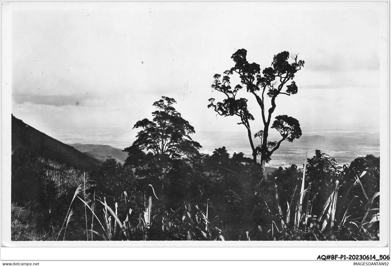 AQ#BFP1-VIETNAM-0252 - TONKIN - AU TAM DAO - Crépuscule - Viêt-Nam