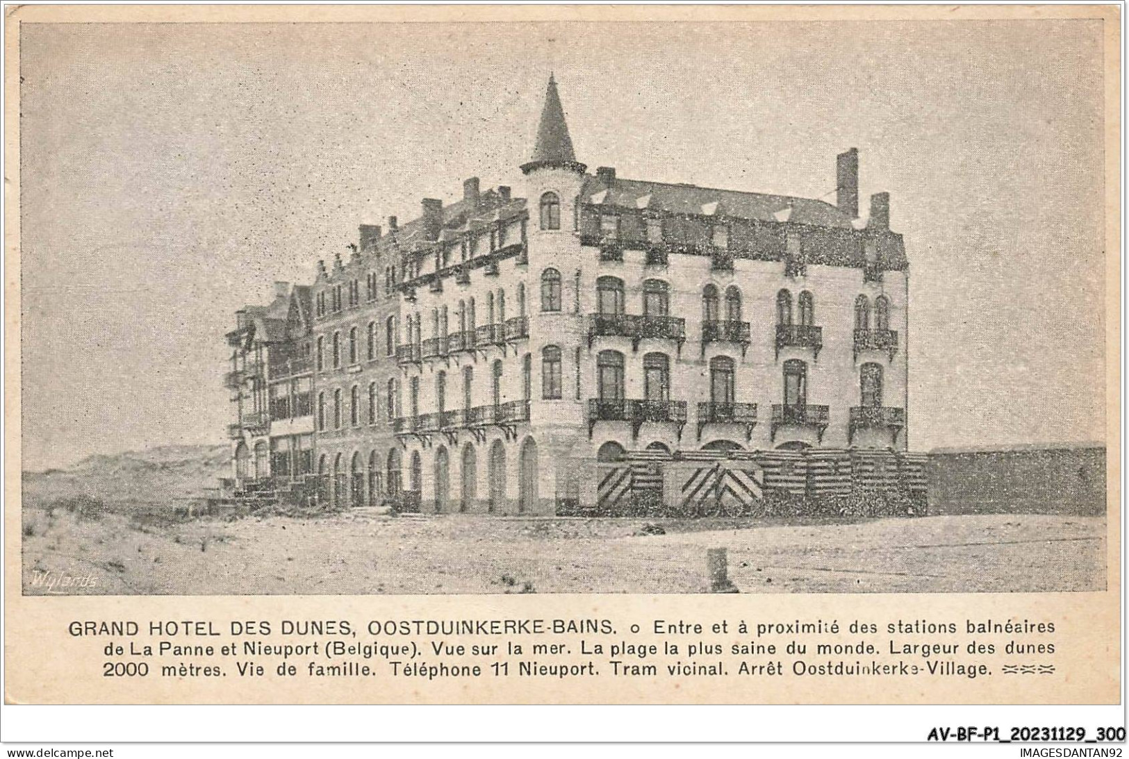AV-BFP1-0151 - BELGIQUE - Oosztduinkerke - Grand Hôtel Des Dunes - Sonstige & Ohne Zuordnung