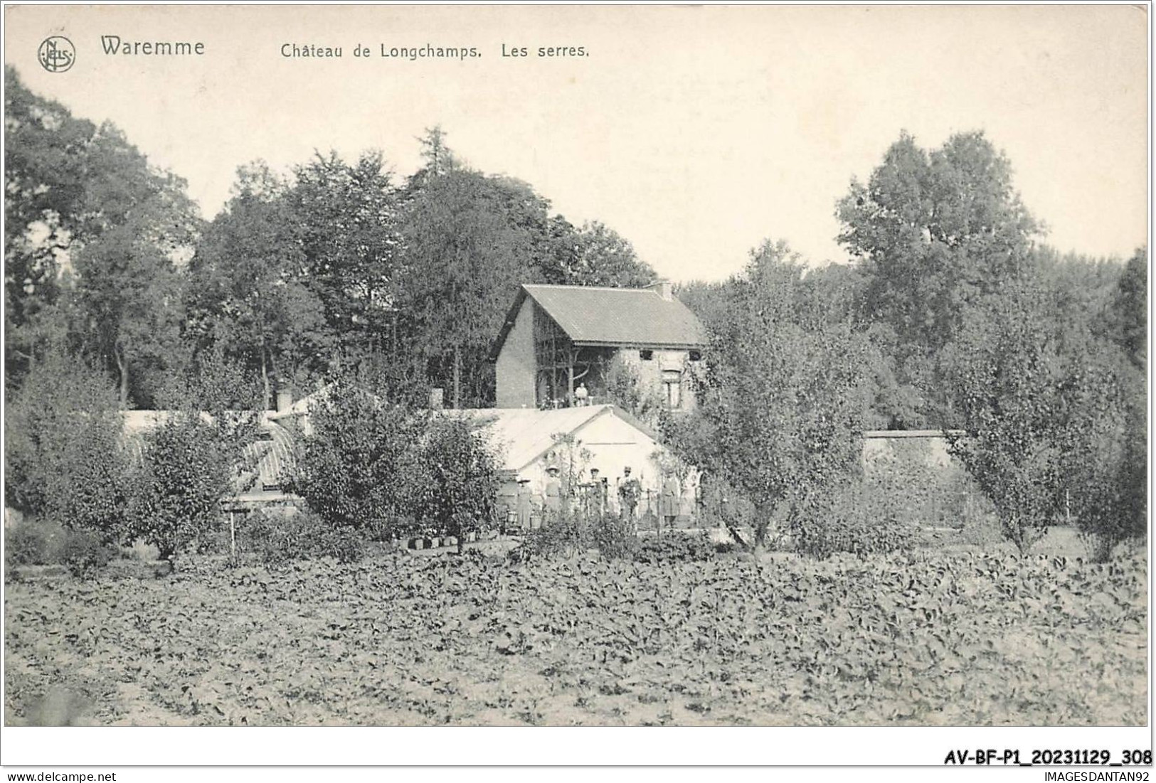 AV-BFP1-0155 - BELGIQUE - Waremme - Château De Longchamps - Lles Serres - Sonstige & Ohne Zuordnung