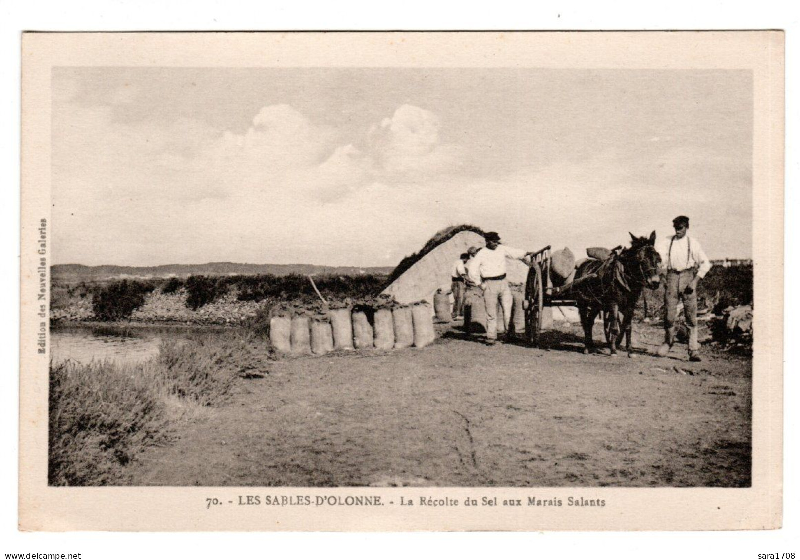 85 LES SABLES D'OLONNE, La Récolte Du Sel Aux Marais Salants. - Sables D'Olonne