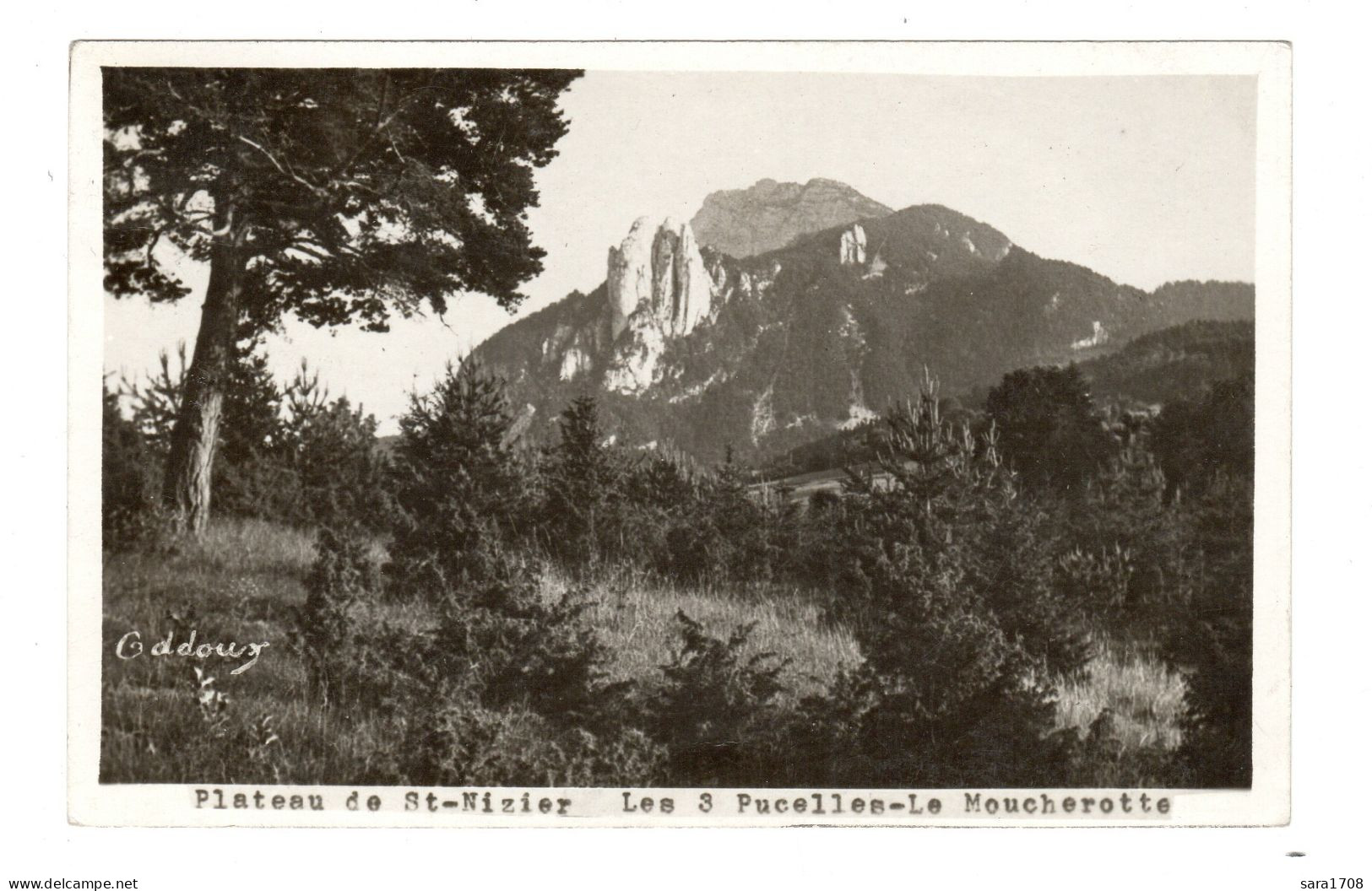 38 Plateau De SAINT NIZIER, Les 3 Pucelles Le Moucherotte. Carte Photo ODDOUX. 2 SCAN. - Sonstige & Ohne Zuordnung