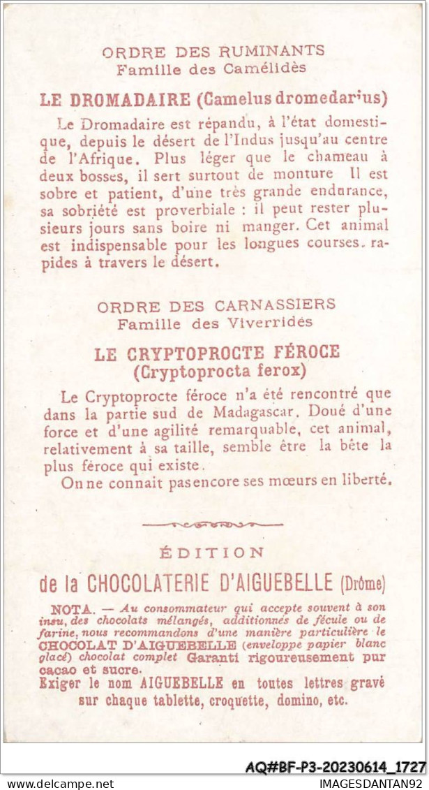 AQ#BFP3-CHROMOS-0861 - CHOCOLAT D'AIGUEBELLE - Le Monde Des Mammifères - Cryptoprocte - Dromadaire - Aiguebelle