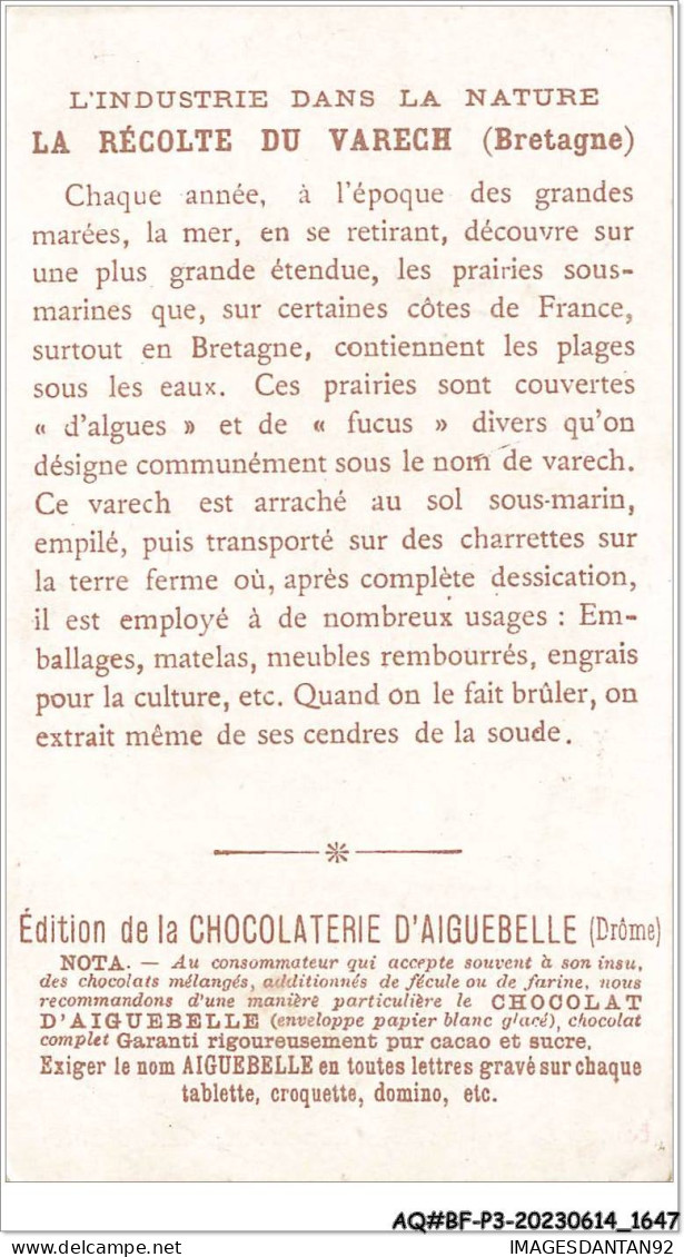 AQ#BFP3-CHROMOS-0821 - CHOCOLAT D'AIGUEBELLE - La Récolte Du Varech - L'industrie Dans La Nature - Aiguebelle