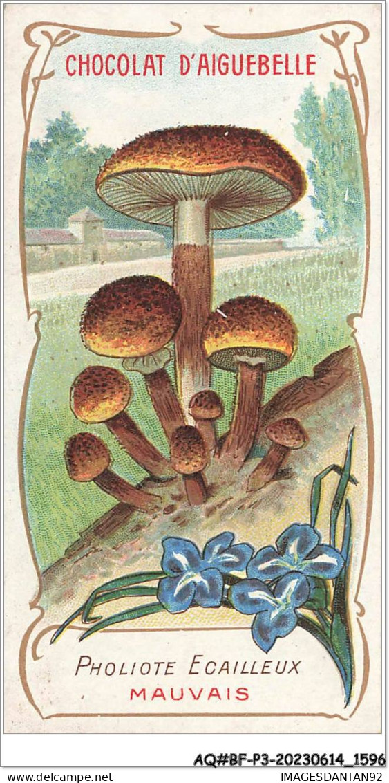 AQ#BFP3-CHROMOS-0796 - Chocolat D'Aiguebelle - Champignon - Pholiote écailleux, Mauvais - Aiguebelle