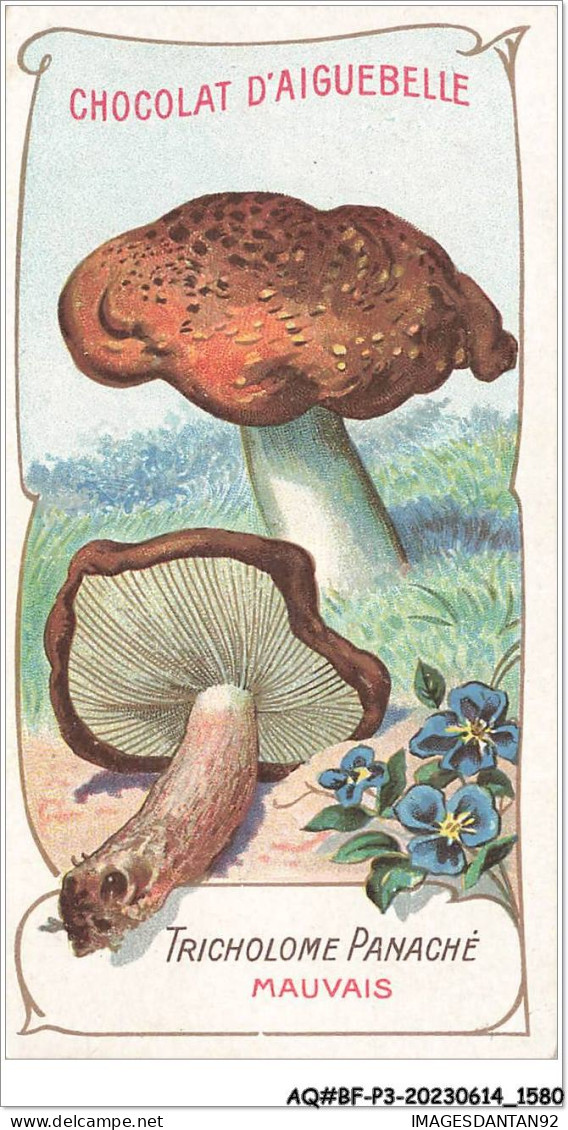 AQ#BFP3-CHROMOS-0788 - Chocolat D'Aiguebelle - Champignon - Tricholome Panaché, Mauvais - Aiguebelle