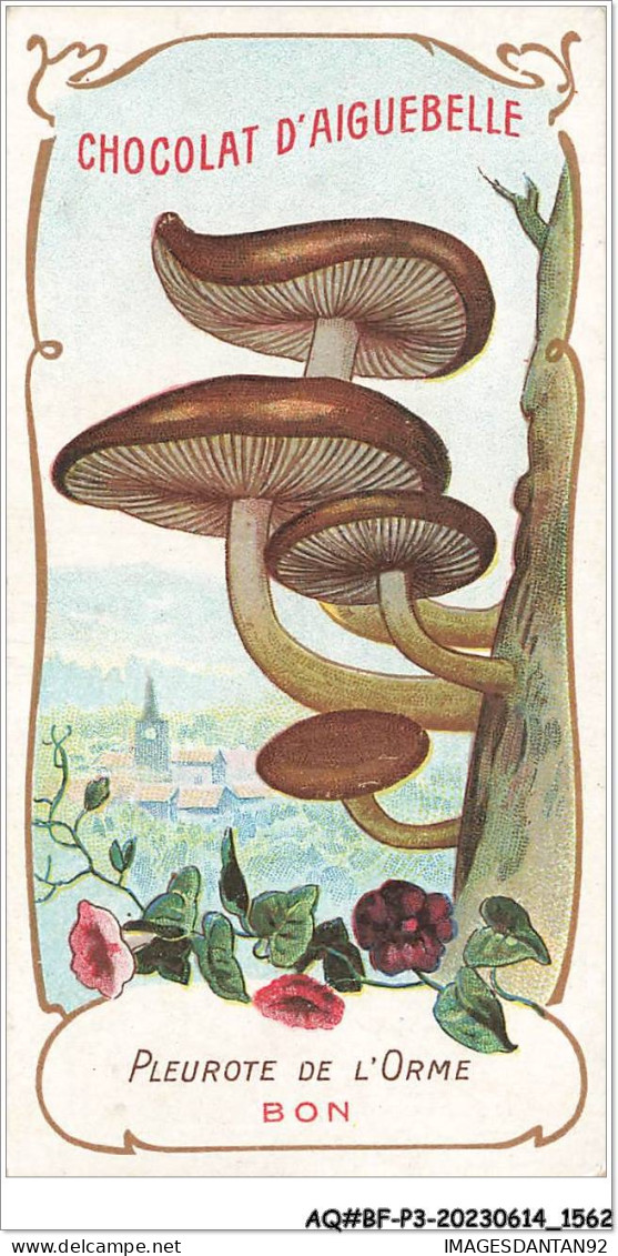 AQ#BFP3-CHROMOS-0779 - Chocolat D'Aiguebelle - Champignon - Pleurote De L'Orme, Bon - Aiguebelle