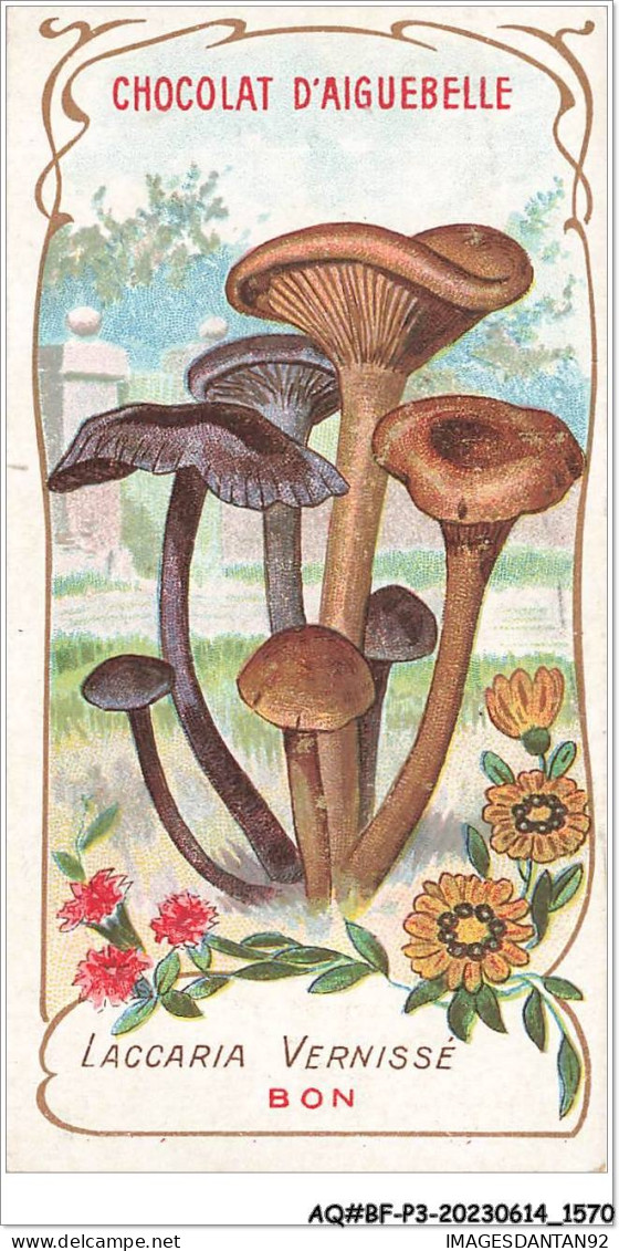 AQ#BFP3-CHROMOS-0783 - Chocolat D'Aiguebelle - Champignon - Laccaria Vernissé, Bon - Aiguebelle