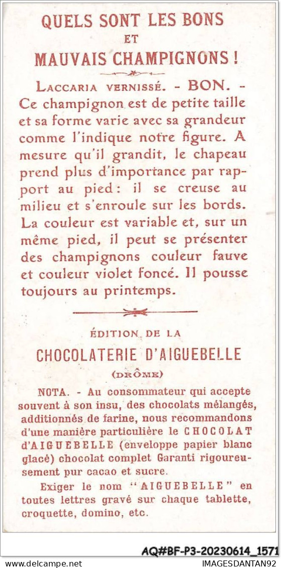 AQ#BFP3-CHROMOS-0783 - Chocolat D'Aiguebelle - Champignon - Laccaria Vernissé, Bon - Aiguebelle