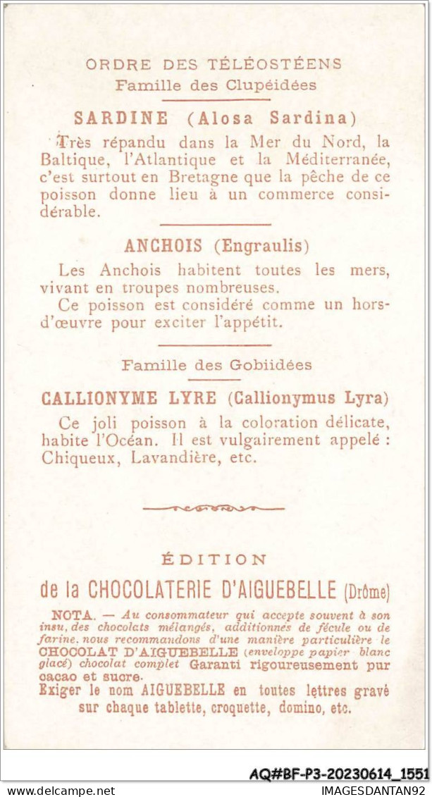 AQ#BFP3-CHROMOS-0774 - Chocolat D'Aiguebelle - Le Monde Sous-Marin - Pentacrinus Astérias - Aiguebelle