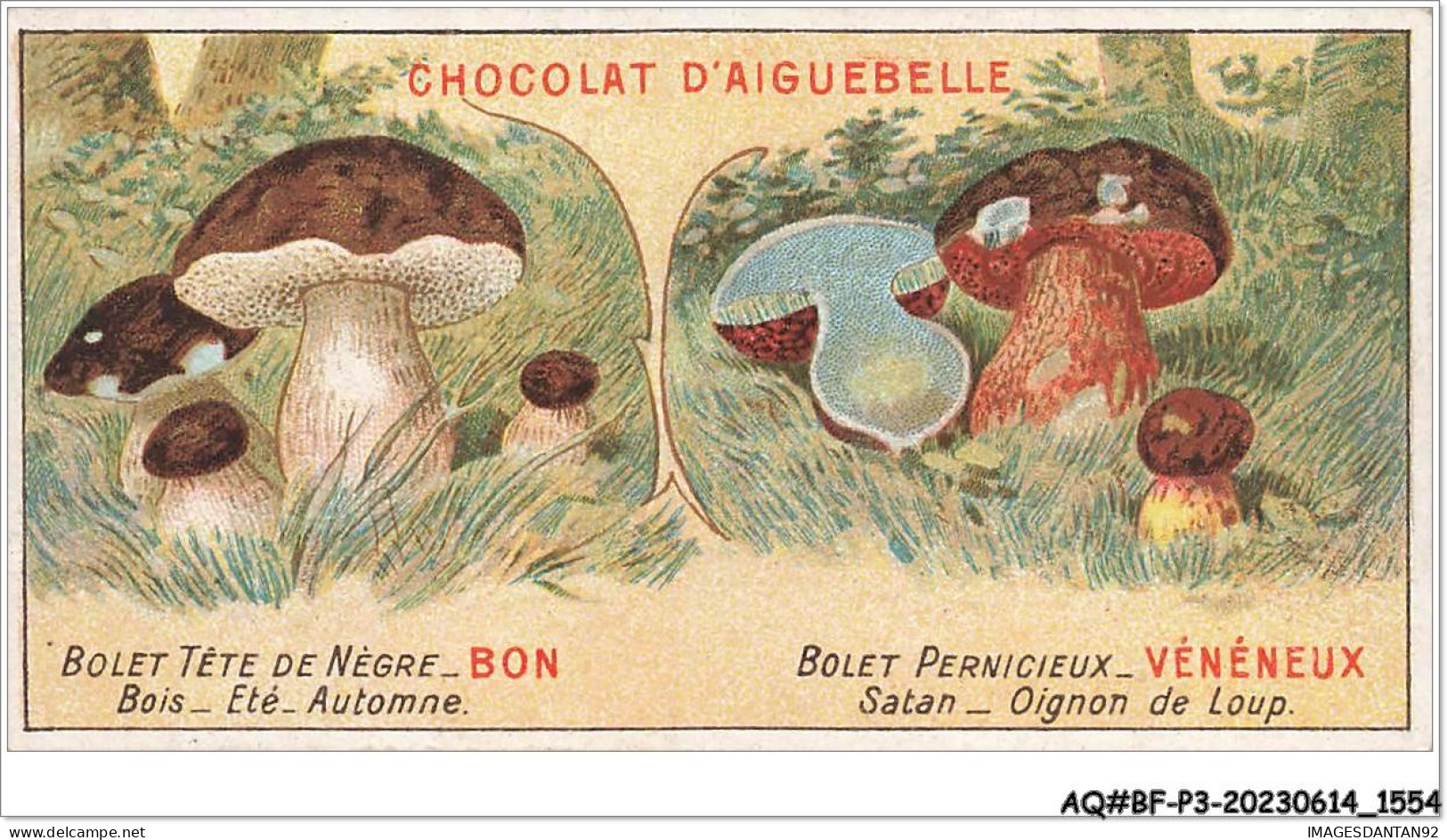 AQ#BFP3-CHROMOS-0775 - Chocolat D'Aiguebelle - Champignon - Bolet Tête De Nègre, Bon - Bolet Pernicieux, Vénéneux - Aiguebelle