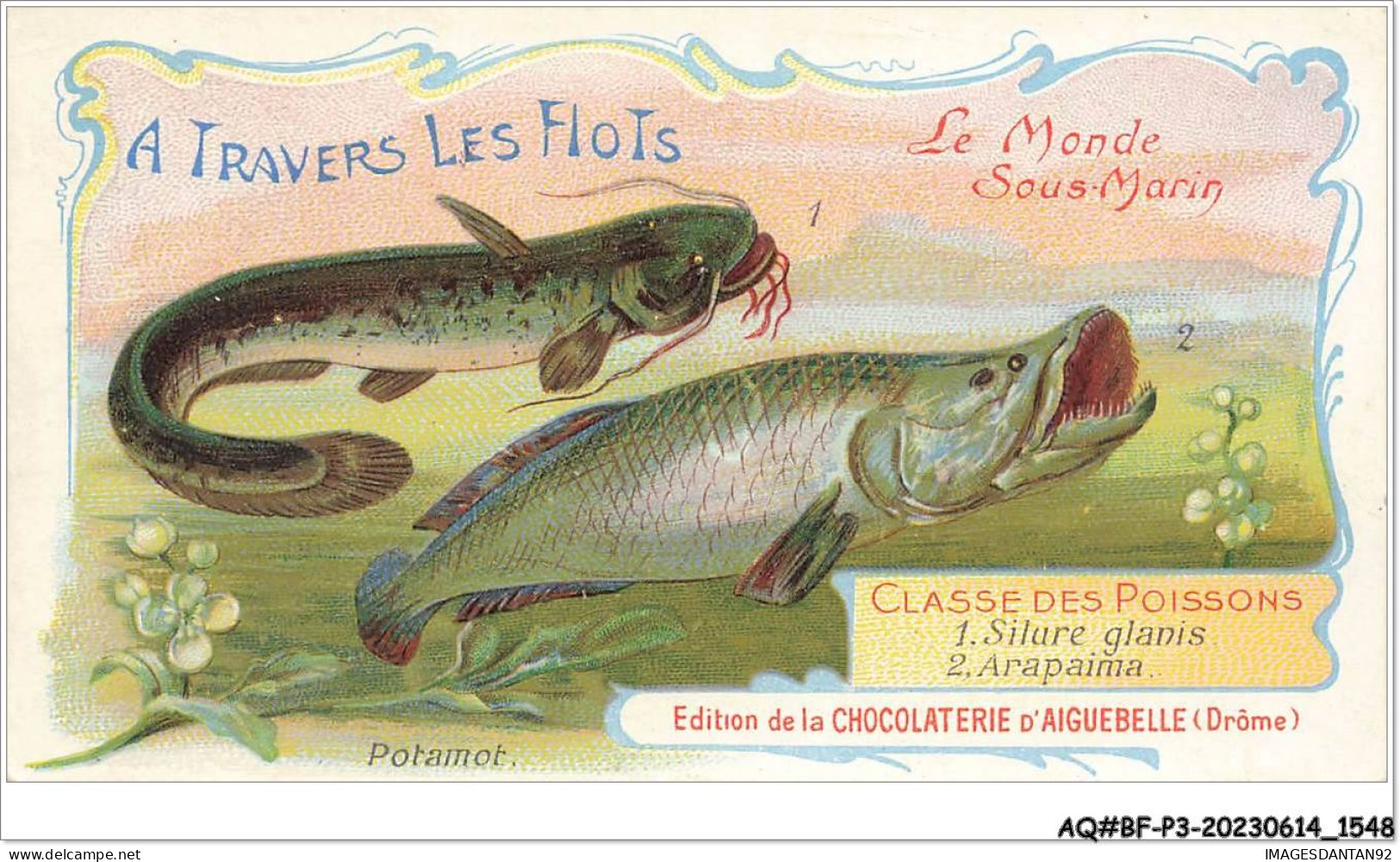 AQ#BFP3-CHROMOS-0773 - Chocolat D'Aiguebelle - Le Monde Sous-Marin - Potamot - Aiguebelle