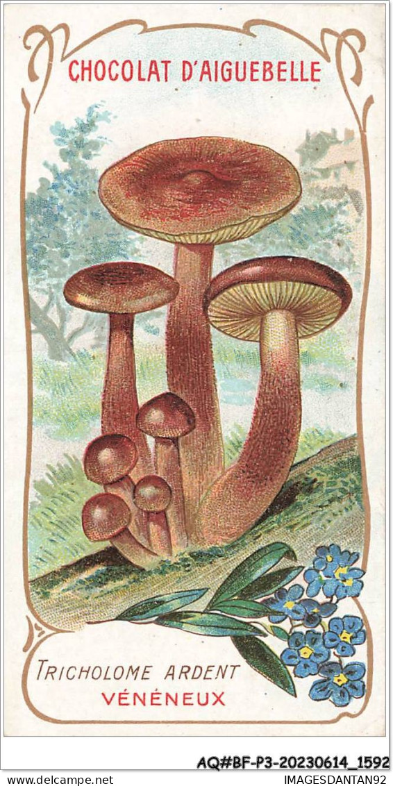 AQ#BFP3-CHROMOS-0794 - Chocolat D'Aiguebelle - Champignon - Tricholome Ardent, Vénéneux - Aiguebelle