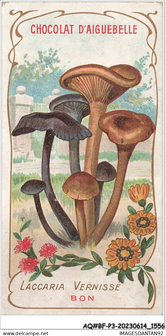 AQ#BFP3-CHROMOS-0776 - Chocolat D'Aiguebelle - Champignon - Laccaria Vernissé, Bon - Aiguebelle