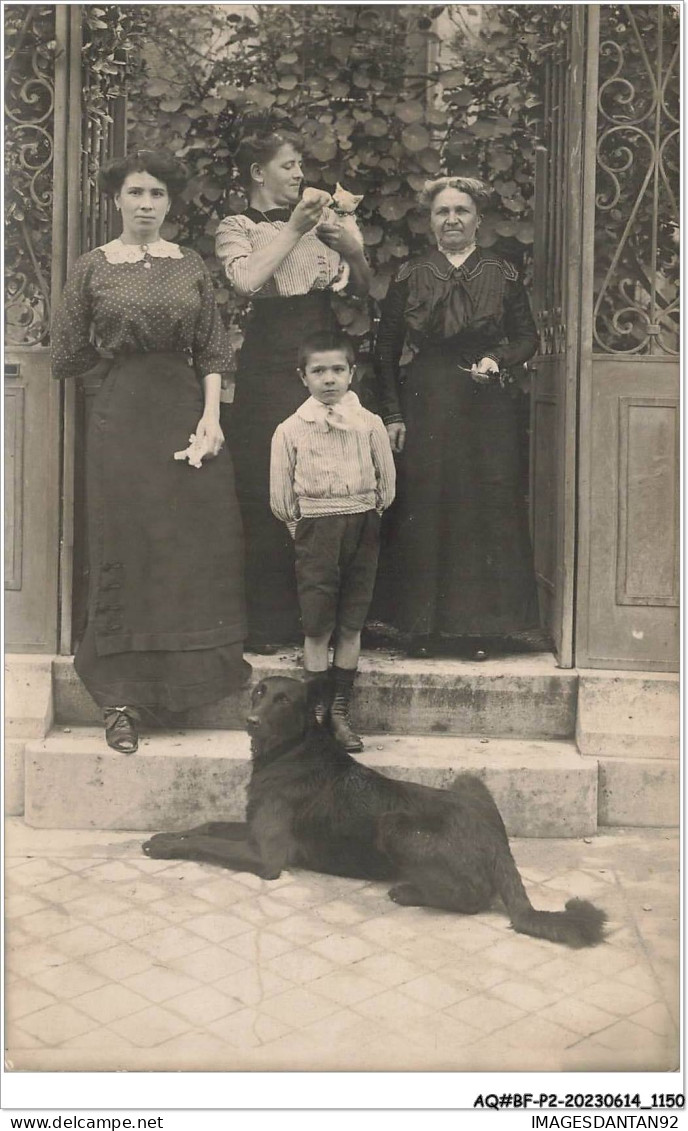 AQ#BFP2-95 -0573 - ARGENTEUIL - Trois Femmeset Garçon, L'une Donnant Le Biberon à Un Chaton - Carte Photo - Argenteuil