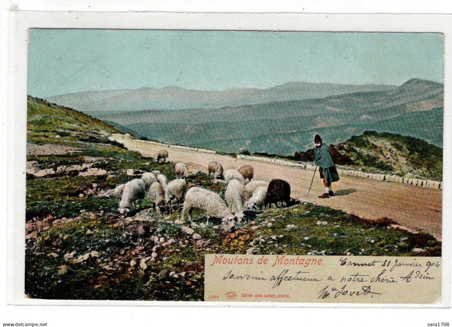 Moutons De Montagne.  - Viehzucht