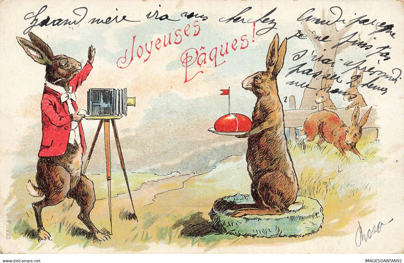 VOEUX #FG56256 JOYEUSES PAQUES LAPINS LIEVRES HUMANISES PHOTOGRAPHE - Easter