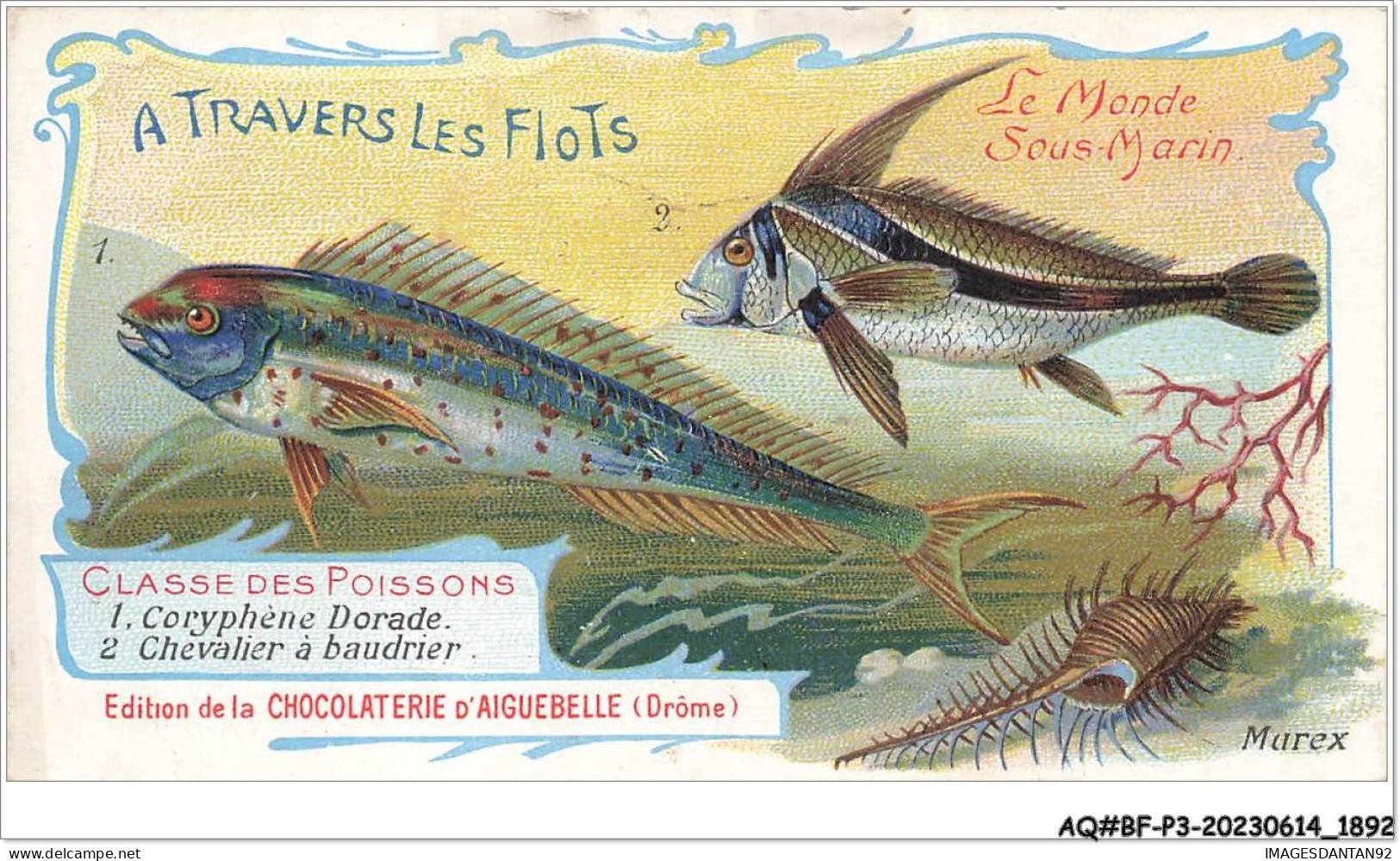 AQ#BFP3-CHROMOS-0944 - CHOCOLAT D'AIGUEBELLE - Le Monde Sous Marin - Classe Des Poissons - Aiguebelle