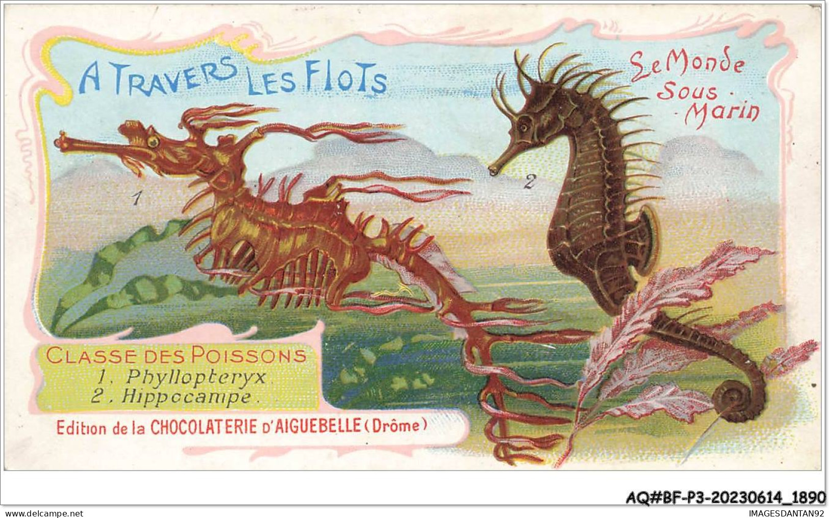 AQ#BFP3-CHROMOS-0943 - CHOCOLAT D'AIGUEBELLE - Le Monde Sous Marin - Classe Des Poissons - Aiguebelle
