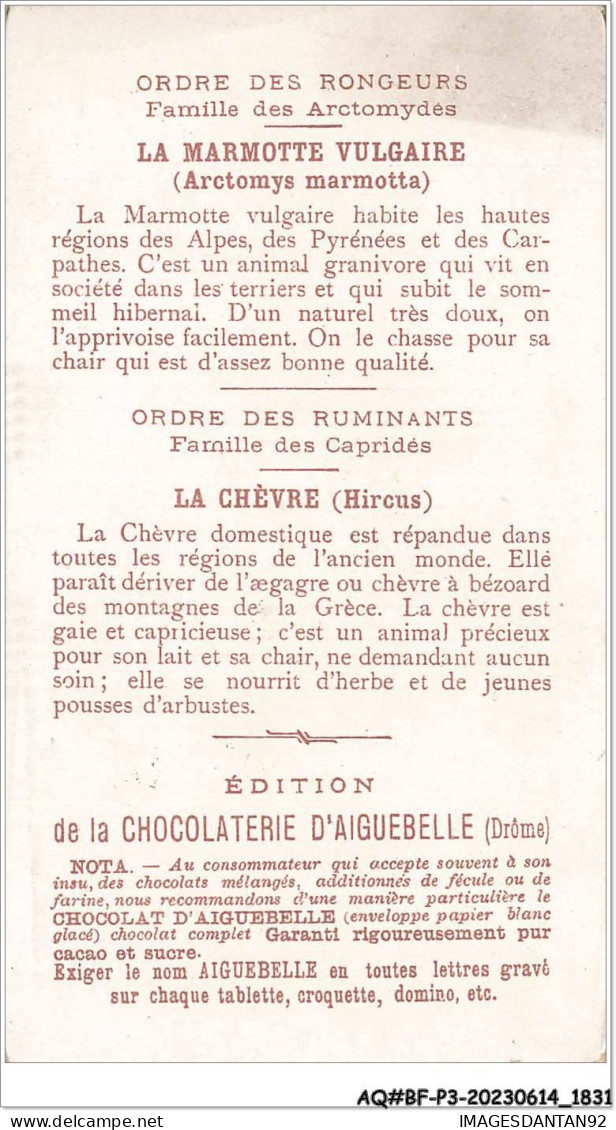 AQ#BFP3-CHROMOS-0913 - CHOCOLAT D'AIGUEBELLE - Le Monde Des Mammifères - Ordre Des Rongeurs  - Aiguebelle