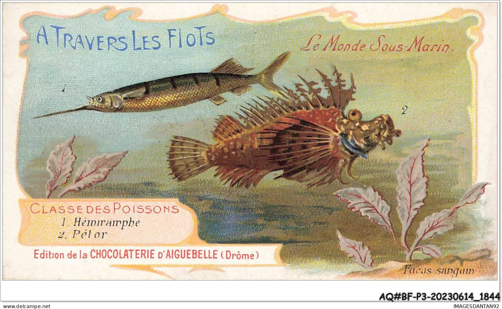 AQ#BFP3-CHROMOS-0920 - CHOCOLAT D'AIGUEBELLE - Le Monde Sous Marin - Classe Des Poissons - Aiguebelle