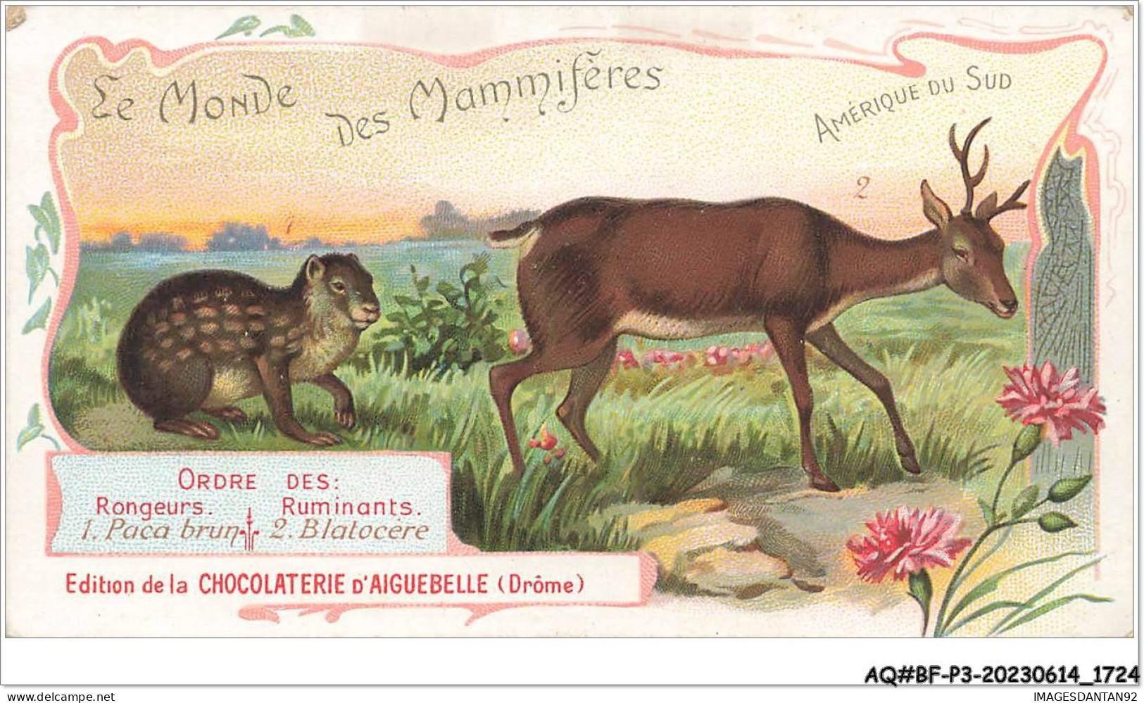 AQ#BFP3-CHROMOS-0860 - CHOCOLAT D'AIGUEBELLE - Le Monde Des Mammifères - Rongeurs - Ruminants - Aiguebelle