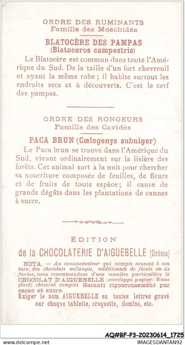 AQ#BFP3-CHROMOS-0860 - CHOCOLAT D'AIGUEBELLE - Le Monde Des Mammifères - Rongeurs - Ruminants - Aiguebelle
