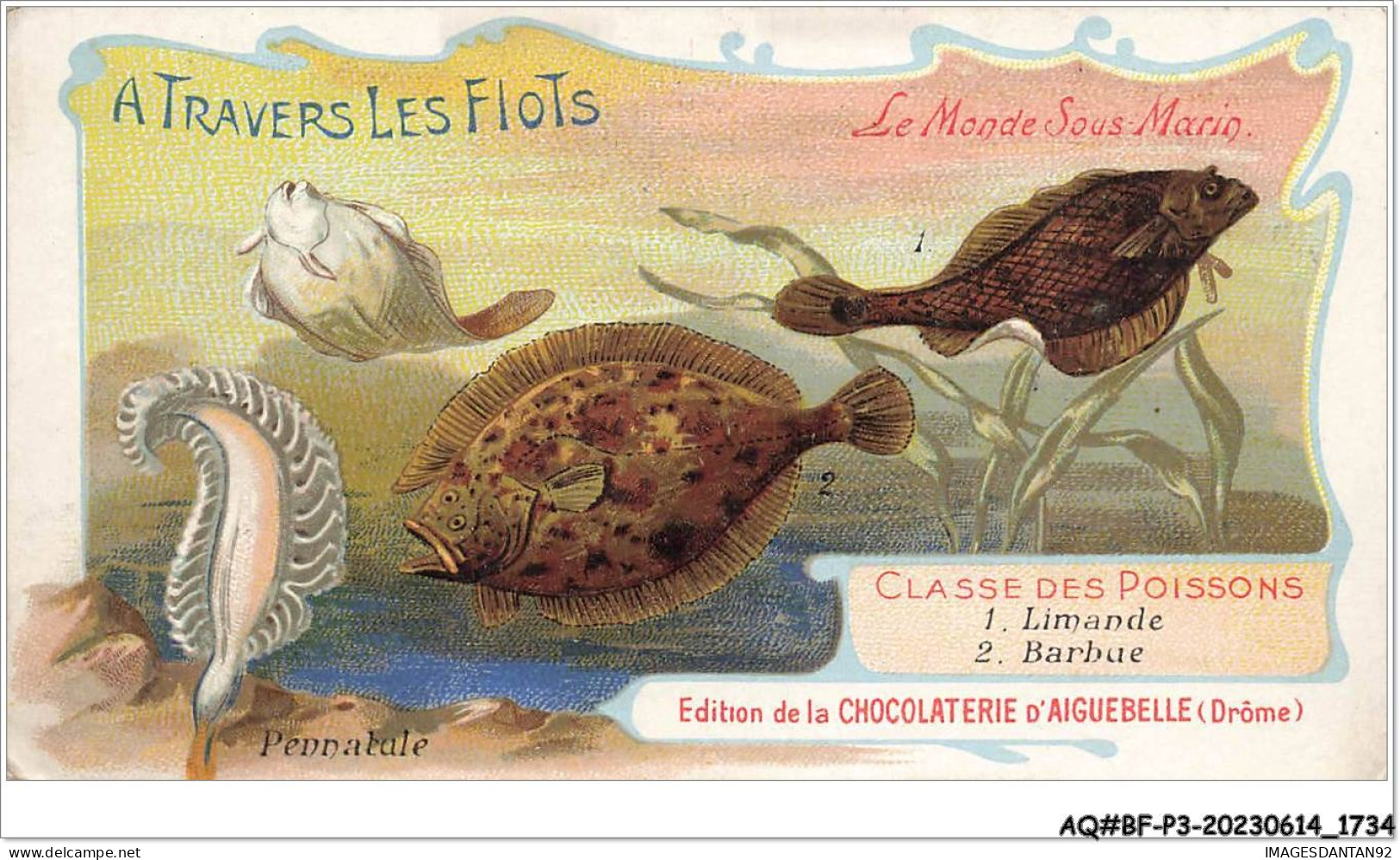 AQ#BFP3-CHROMOS-0865 - CHOCOLAT D'AIGUEBELLE - Le Monde Sous-marin - Limande - Barbue - Aiguebelle