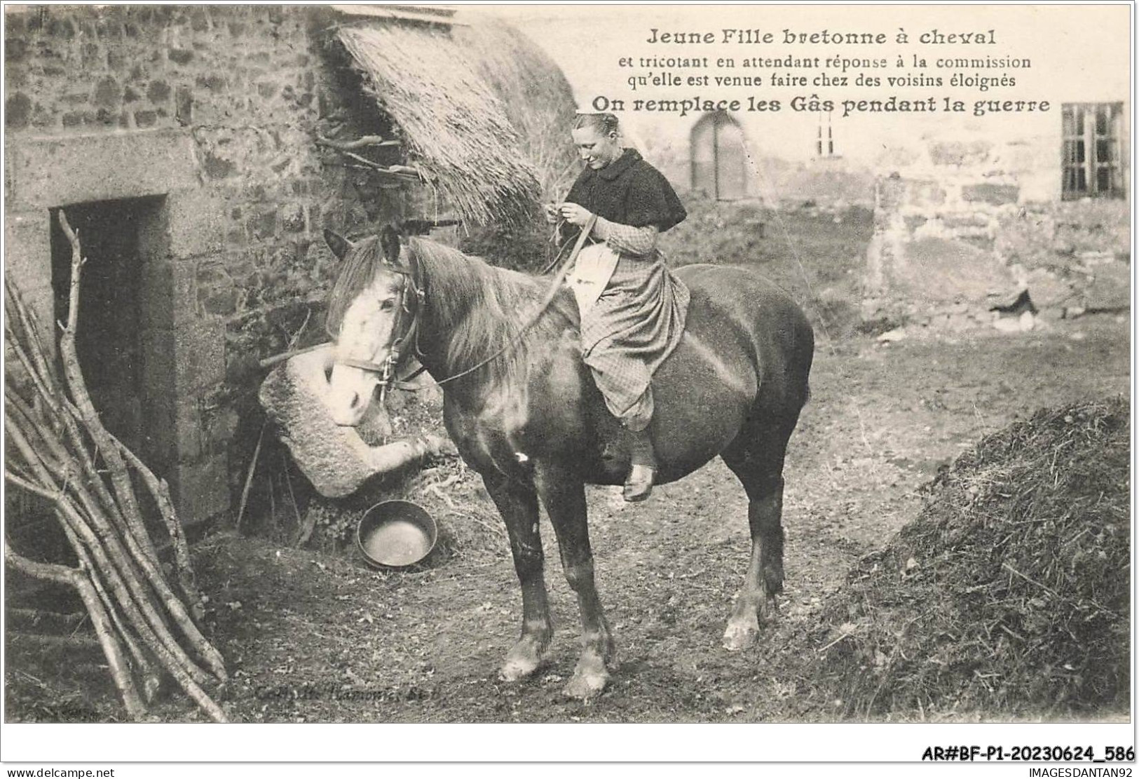 AR#BFP1-29-0294 - Jeune Fille Bretonne à Cheval Et Tricotant En Attendant Réponse à La Commission  - Sonstige & Ohne Zuordnung