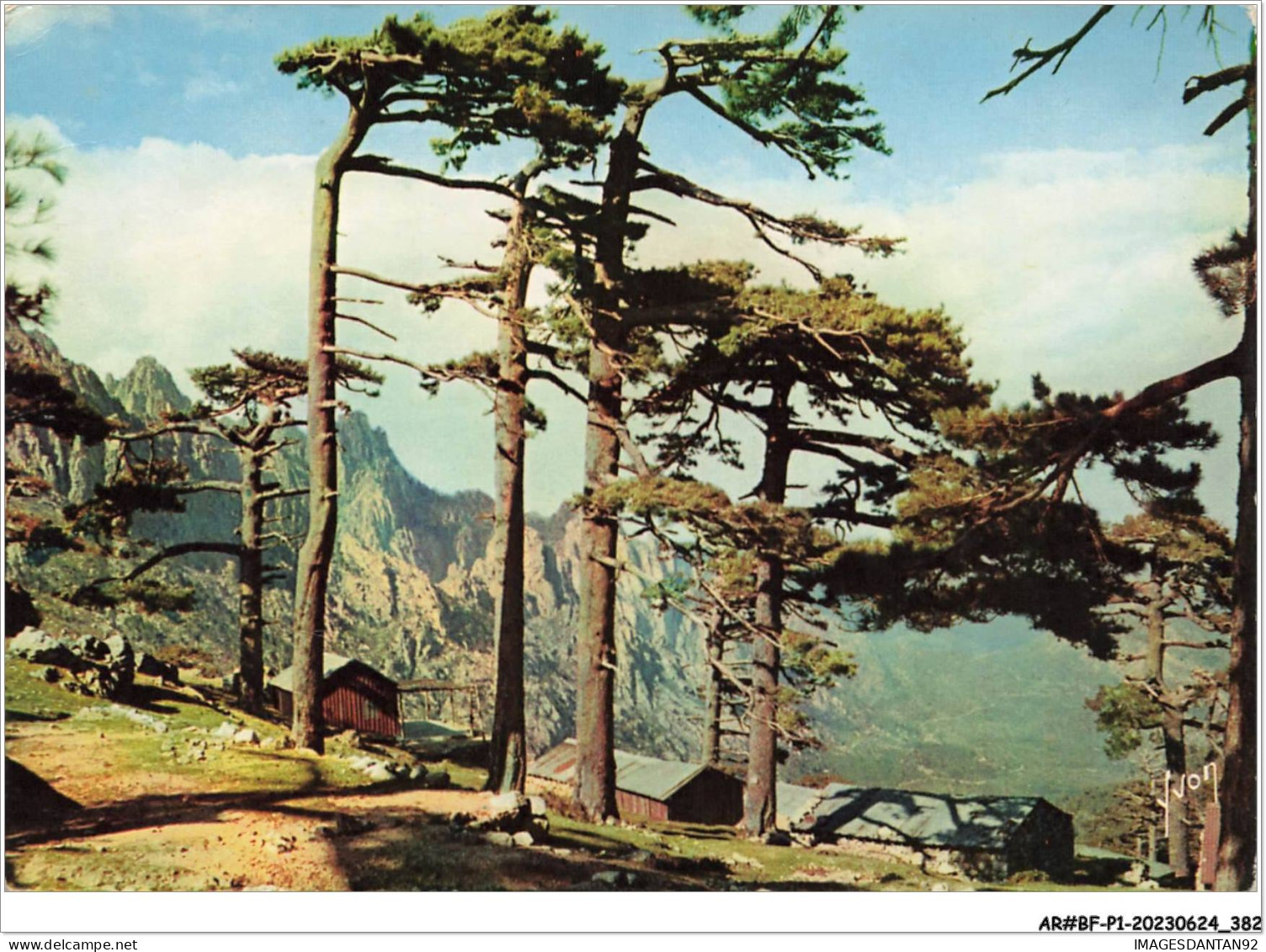 AR#BFP1-20-0192 - COL DE BAVELLA - Site Et Panorama Vvus Du Faîte Du Col  - Corte