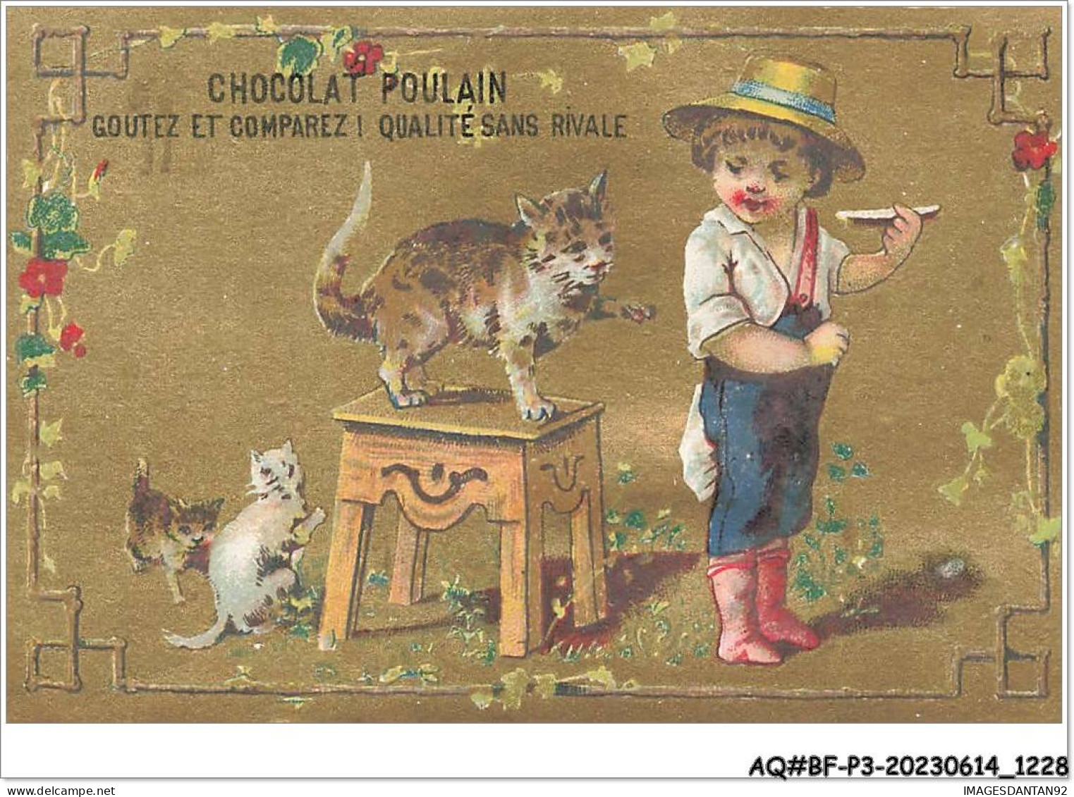 AQ#BFP3-CHROMOS-0612 - CHOCOLAT POULAIN - Petit Garçon Avec Des Chats - Poulain