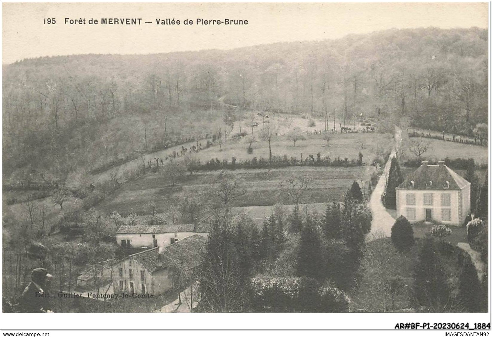 AR#BFP1-85-0943 - Forêt De MERVENT - Vallée De Pierre-Brune - Sonstige & Ohne Zuordnung