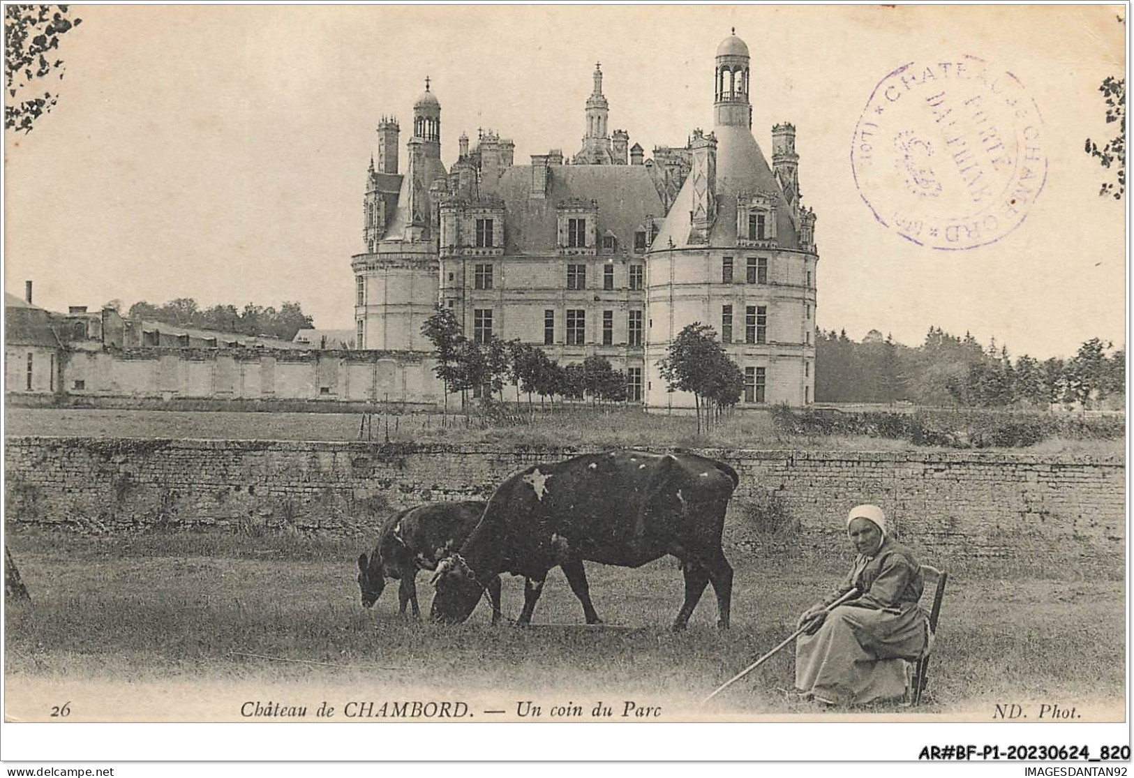 AR#BFP1-41-0411 - Château De CHAMBORD - Un Coin Du Parc - Chambord